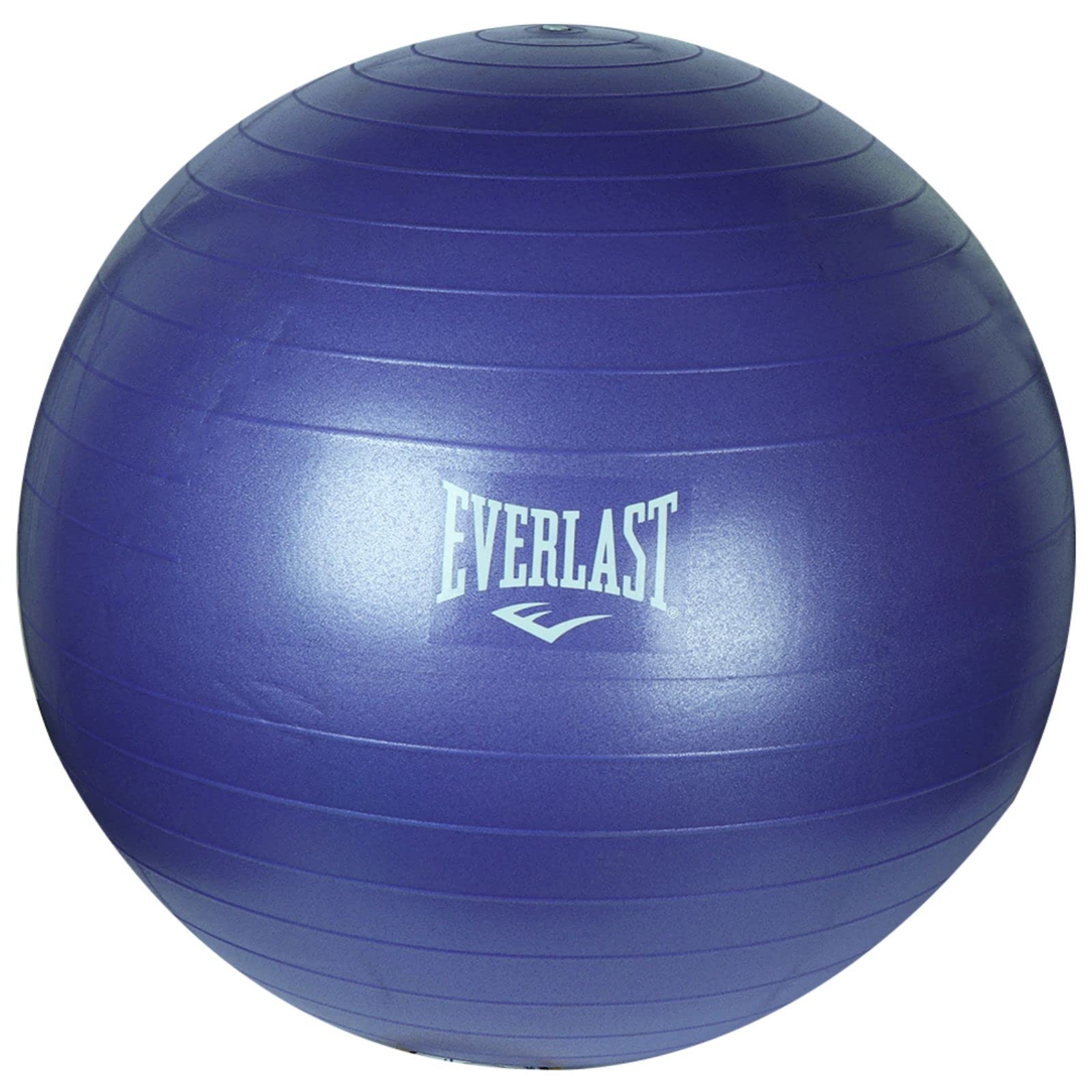 Everlast Anti Burst Gymball-55cm (B09YZX38VV) Amazon Price History, Amazon Price Tracker