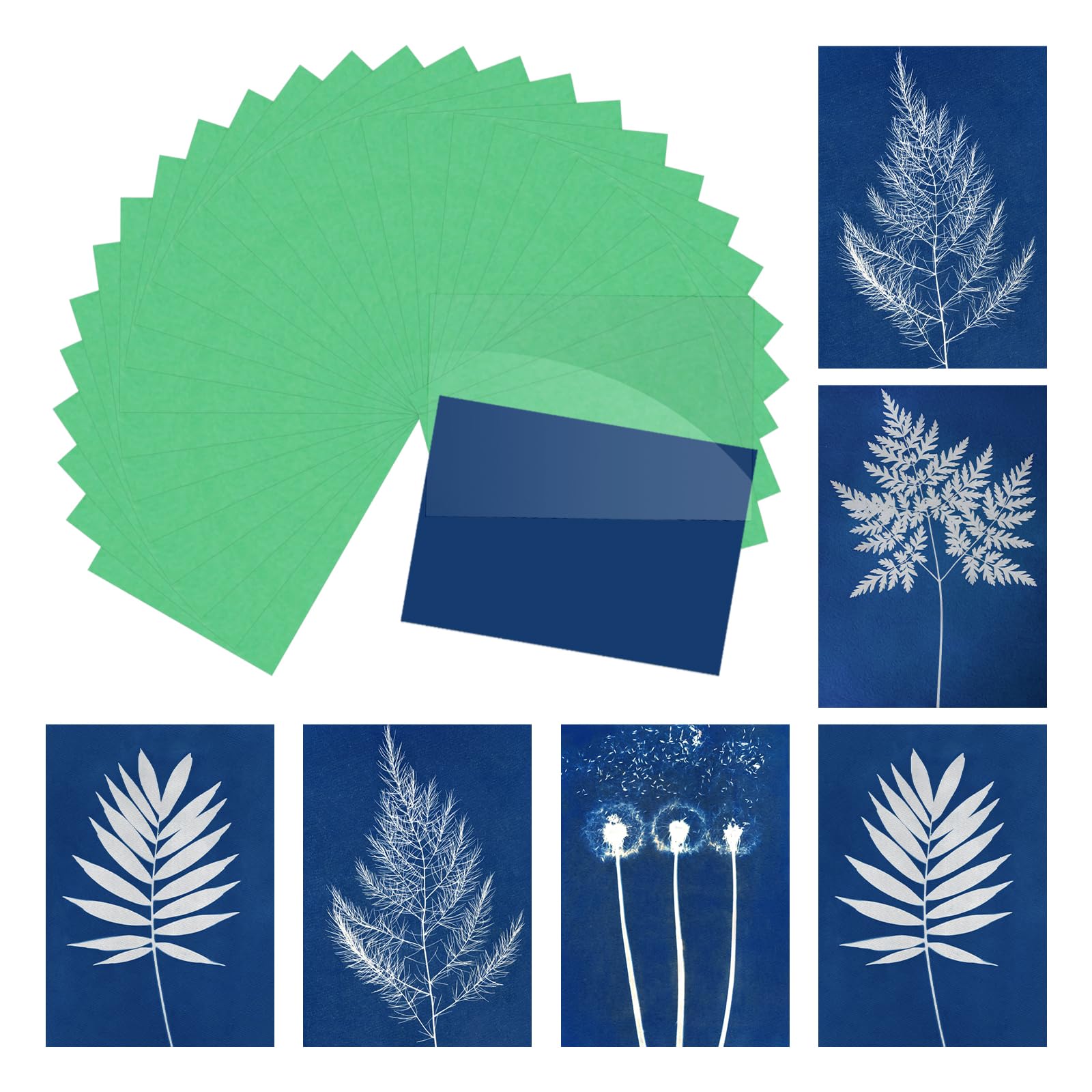sourcing map Cyanotype Paper,12 Sheet Sun Print Kit High Sensitive Sun Green Crafts Paper with Acrylic Board for Adults DIY Project Art,4.1x5.8 Inch (A6)