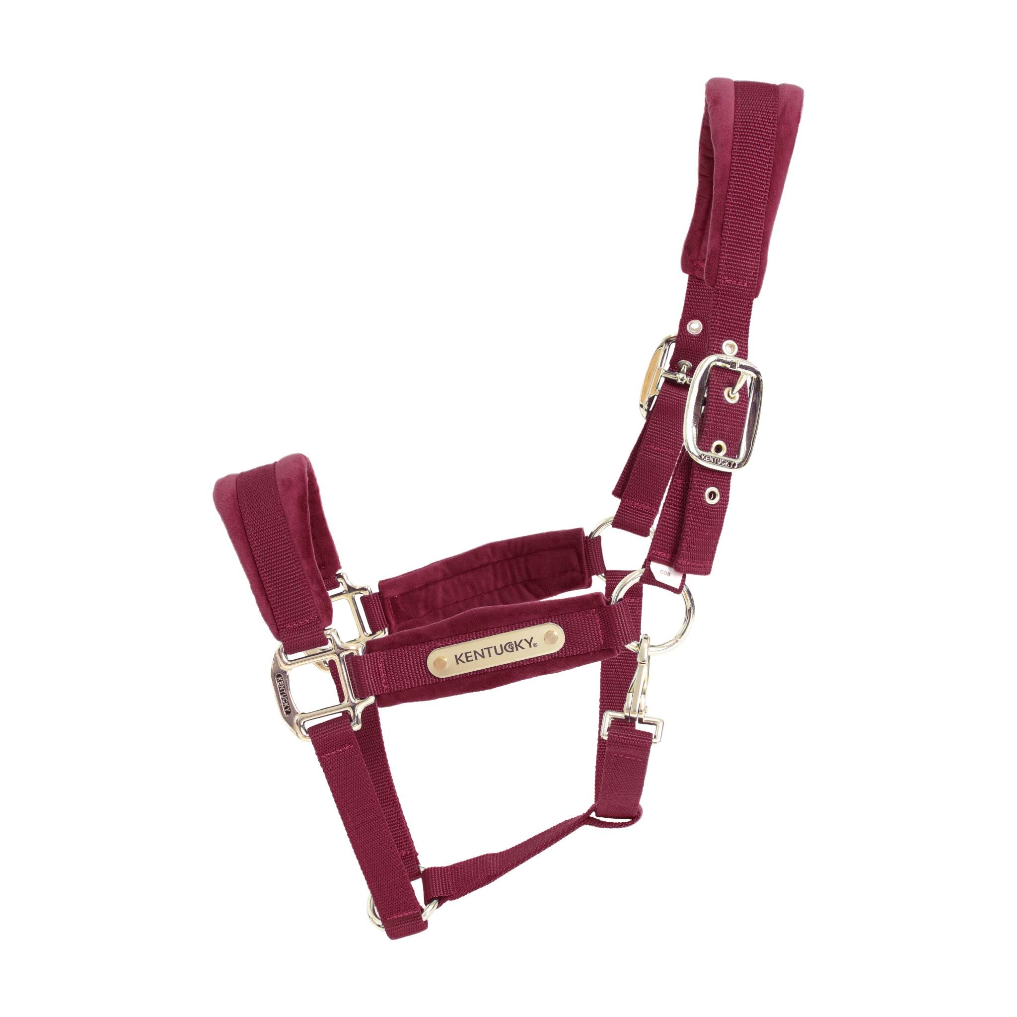 Kentucky - Velvet Halfter bordeaux full