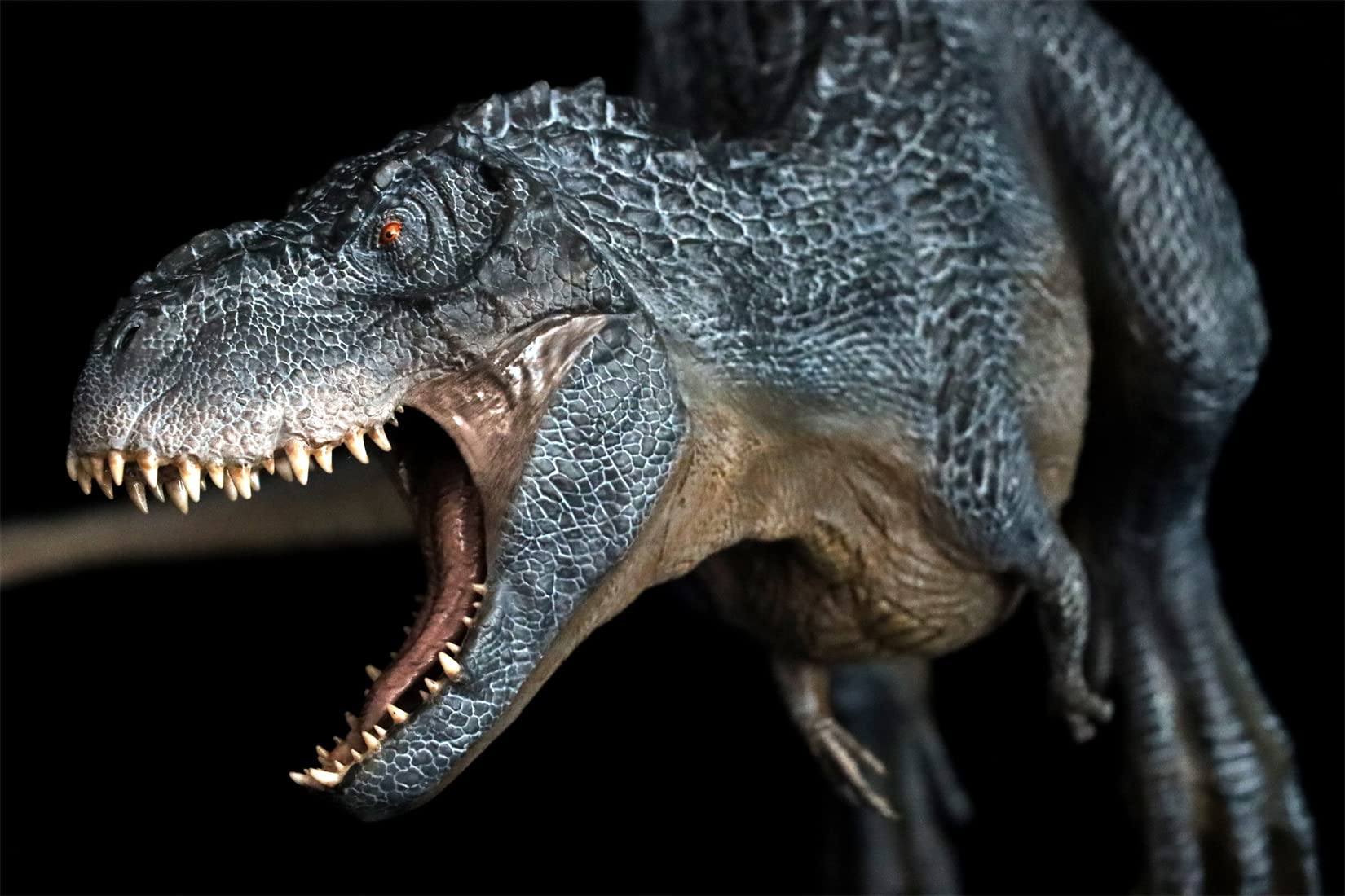 Amazon | BACALYSO|Nanmu 本心楠改 1/35 サイズ 限定版 Rex V-Rex ヴァ