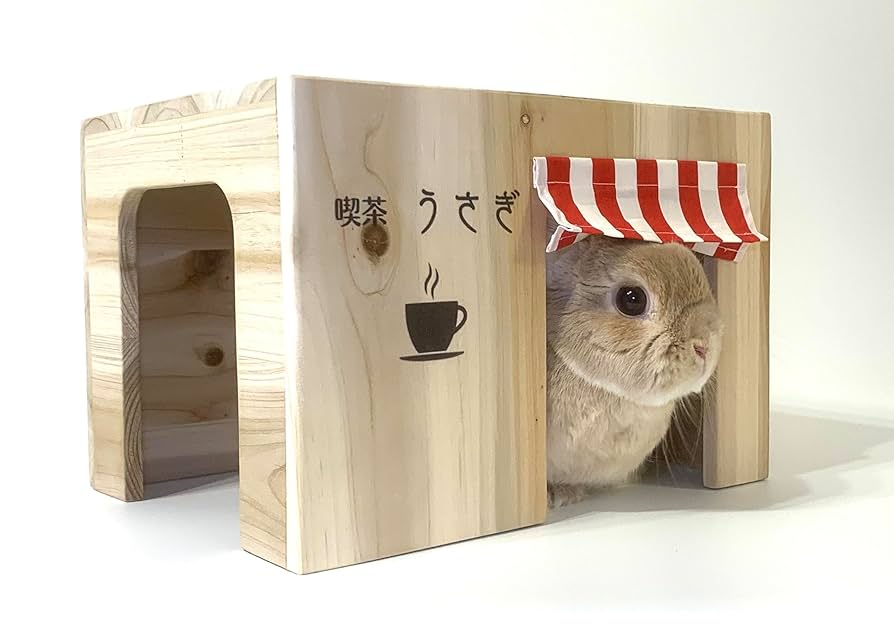 アメリカヴィンテージ うさぎ 小物ケース 楽天市場】アンティーク ガラス 小物入れ うさぎ Mosser Glass