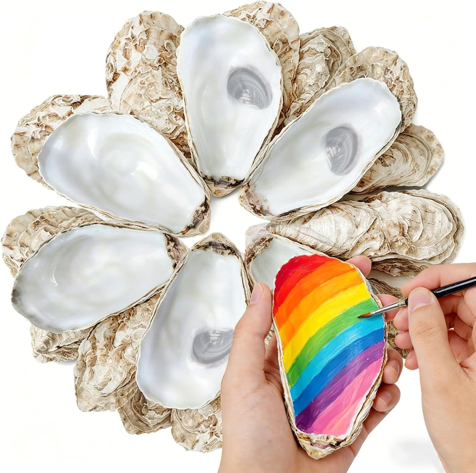 30Pcs 4-5 Inch Concave Large Oyster Shells For Crafts, Cleaned Natural Big Oyster Shells For Decoupage Baking Vase Filler Jewelry Dish Wedding DIY Decor Coastal Christmas Seashells Art