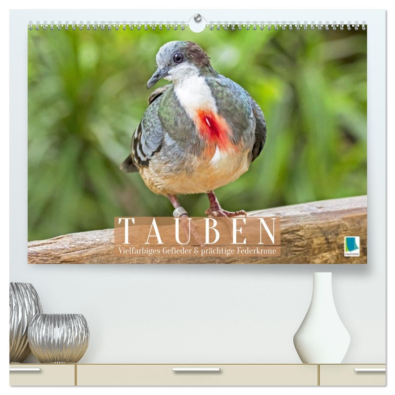 Tauben: vielfarbiges Gefieder und prächtige Federkrone (hochwertiger Premium Wandkalender 2026 DIN A2 quer), Kunstdruck in Hochglanz: Tauben aus allen ... Turteln und Flügelschwung (CALVENDO Tiere)
