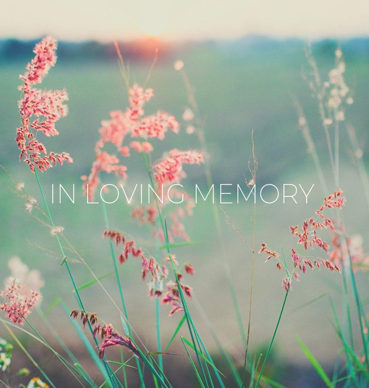 Condolence book for funeral (Hardcover): Memory book, comments boo