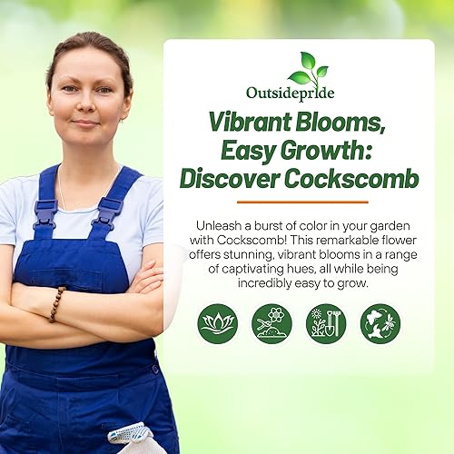 Miniatura 5 de Outsidepride Mix Cockscomb Seeds - 1000 semillas anuales de flores de celosia enana para plantar, fáciles de cultivar, flores exóticas tolerantes al