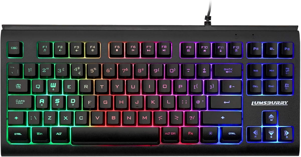 Lumsburry Computer Keyboard(UK Layout), 88 Keys Compact Wired USB Keyboard with Rainbow LED Light Up Backlit for PC Gaming Laptop Teclado Gamers Office Working