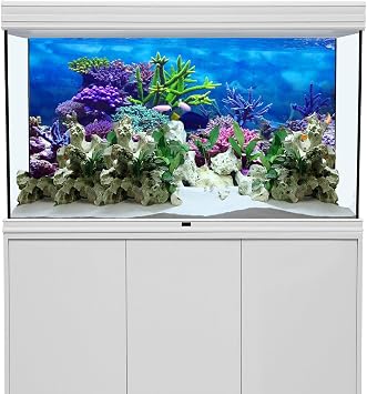 72x24 in Aquarium Backdrop Colorful Coral Tropical Fish Tank Background