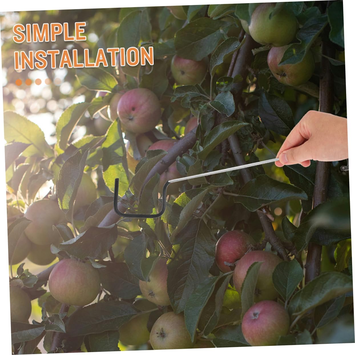 Toyvian Astspreizer aus Galvanisiertem Stahl für Obstbäume 20 Stück zum Verhindern von Schäden an und Zweigen Pflanzenspreizer für Gewerbliche Obstgärten und Gartenpflege
