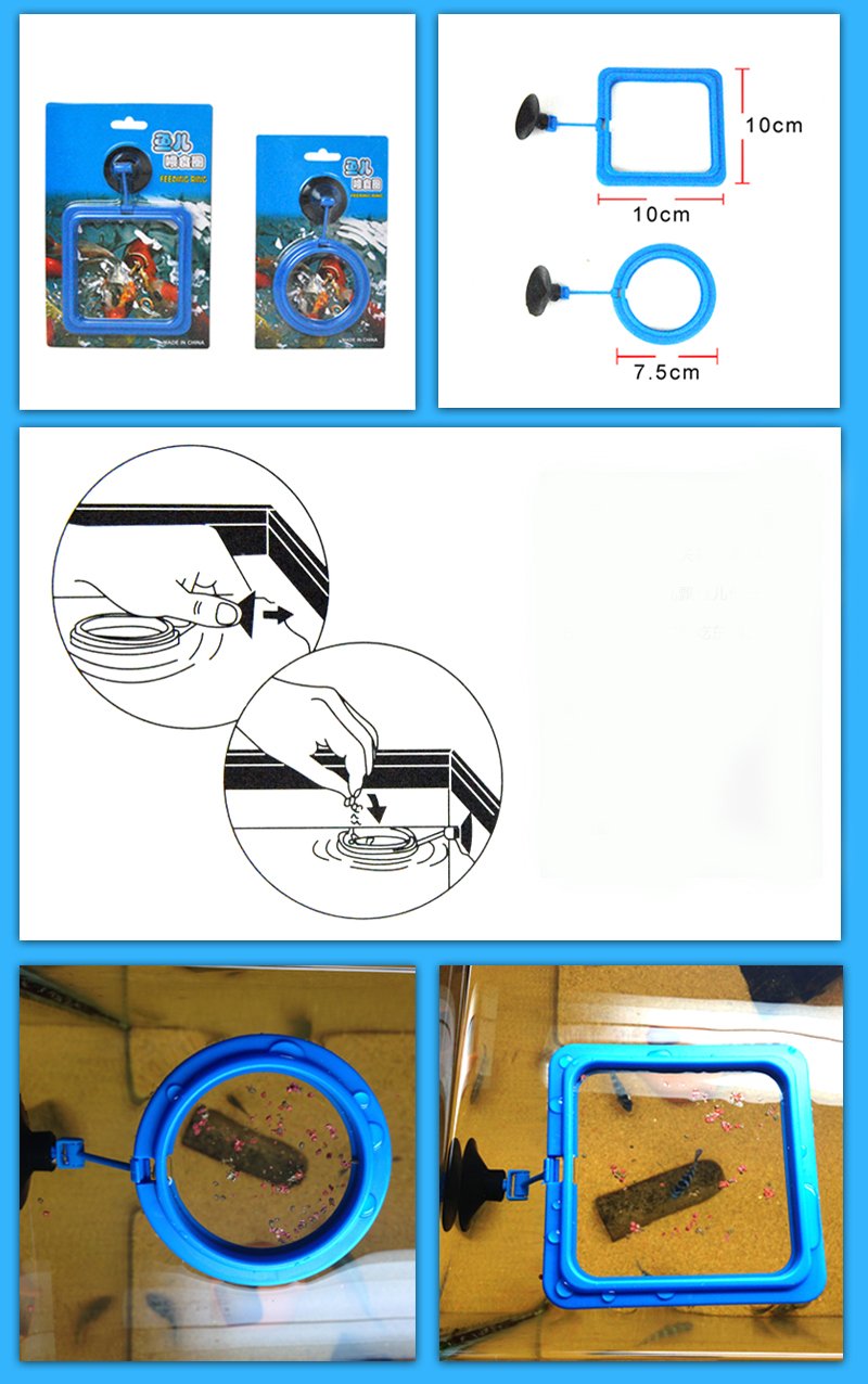 ChangeYOu Aquarium Shrimp Small Bait Feeder Dry Spinach Feeding Stainless Steel Cage S/L (L)