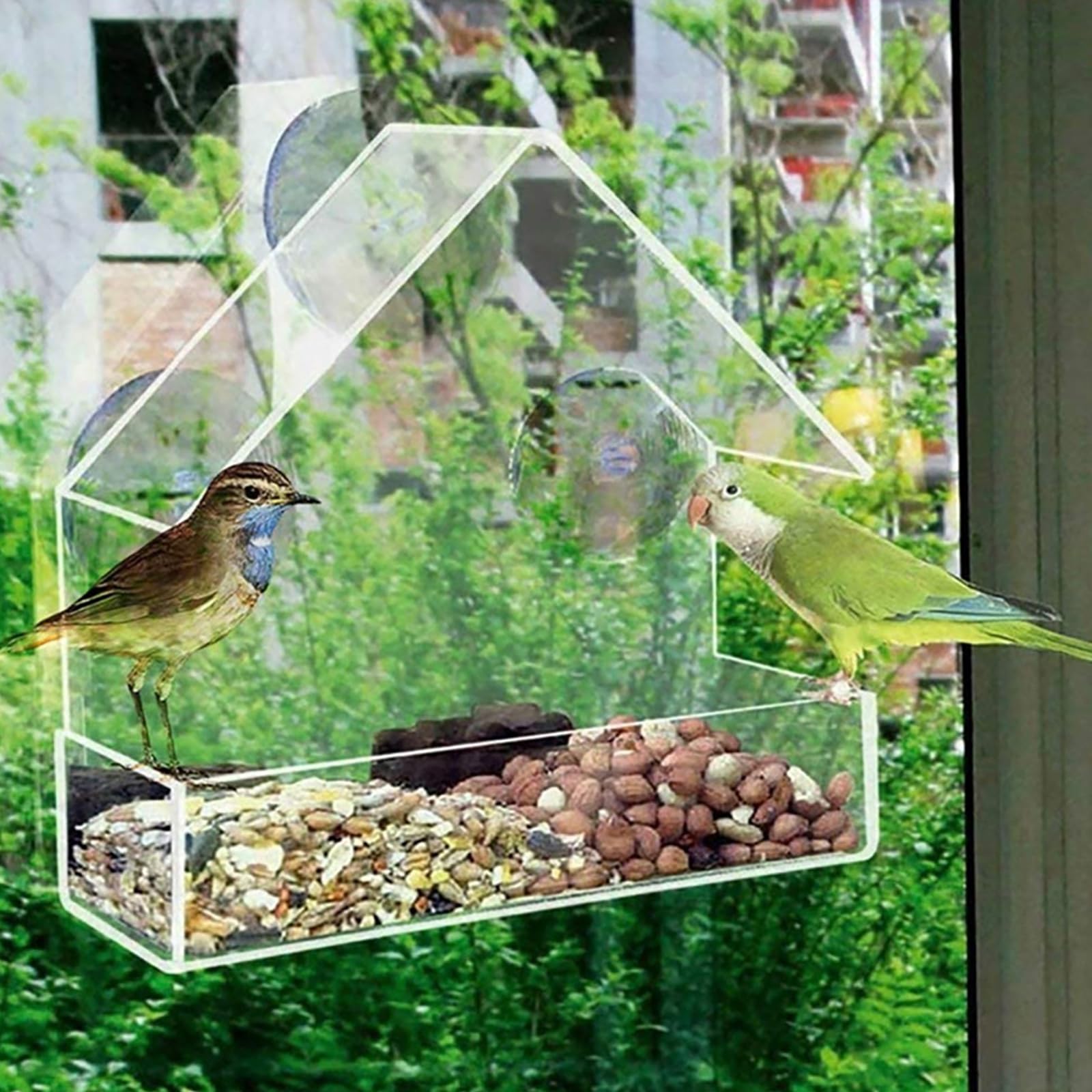 Window Bird Feeder for Outside, Small Acrylic Bird Feeder with 2 Rods, Strong Suction Cups, and Drain Holes - Image 4