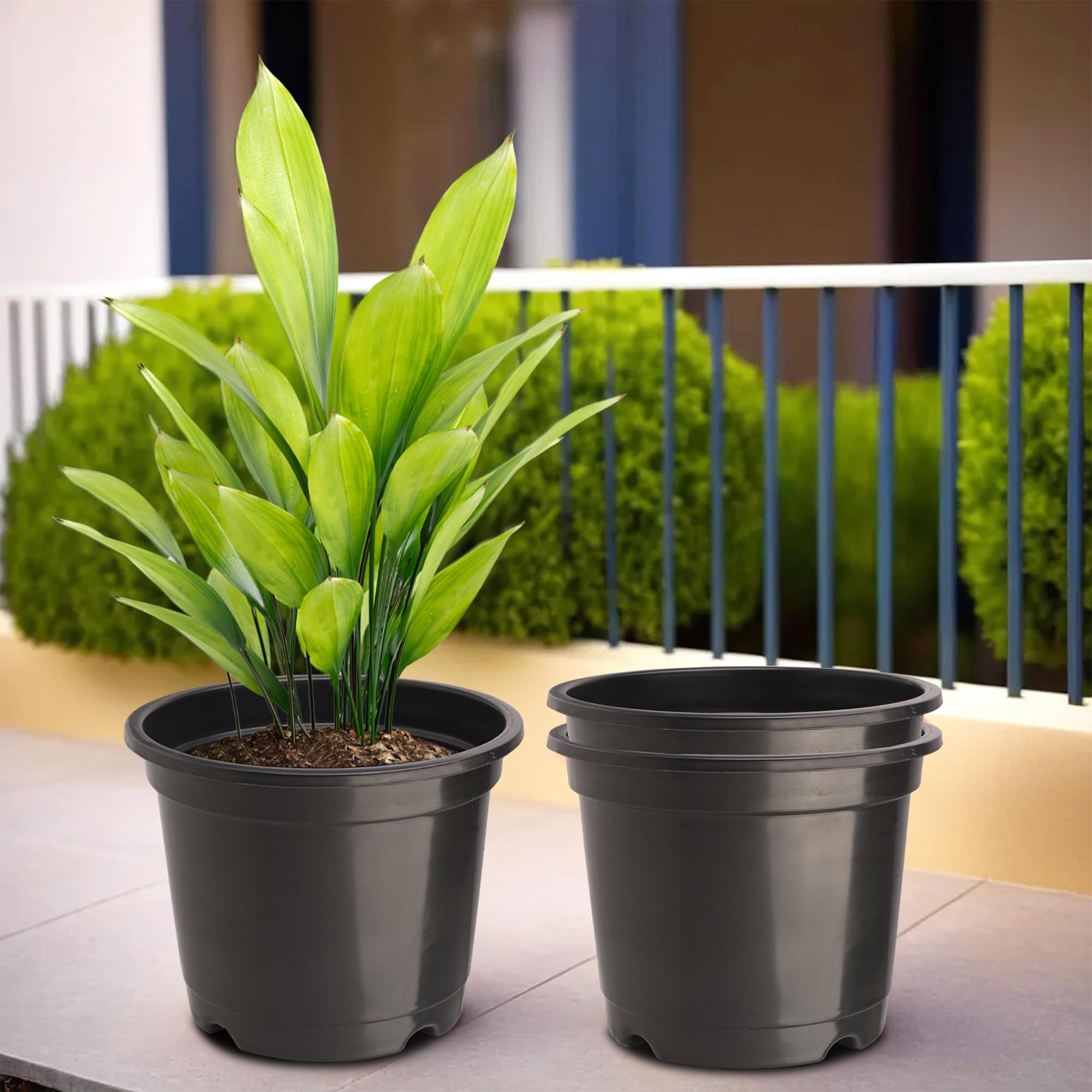 Kuber Industries (Pack of 3) Flower Pot | Fuldani Flower Pot | (8 Inch) Pots for Home, Terrace, Garden | Pots Stand for Plants | Phooldaan for Home D?cor | Synergy Indoor Plant Stand | Black (B0D7VGLN46) Amazon Price History, Amazon Price Tracker