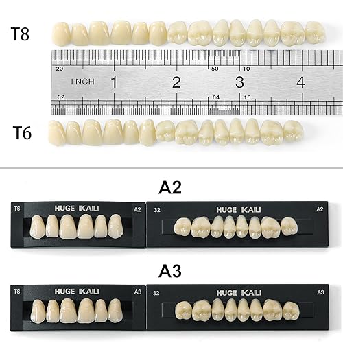 Miniatura 2 de Dentadura de resina acrílica dental, dientes falsos A2 T6, resina de polímero sintético, dientes falsos para materiales dentales, Halloween,