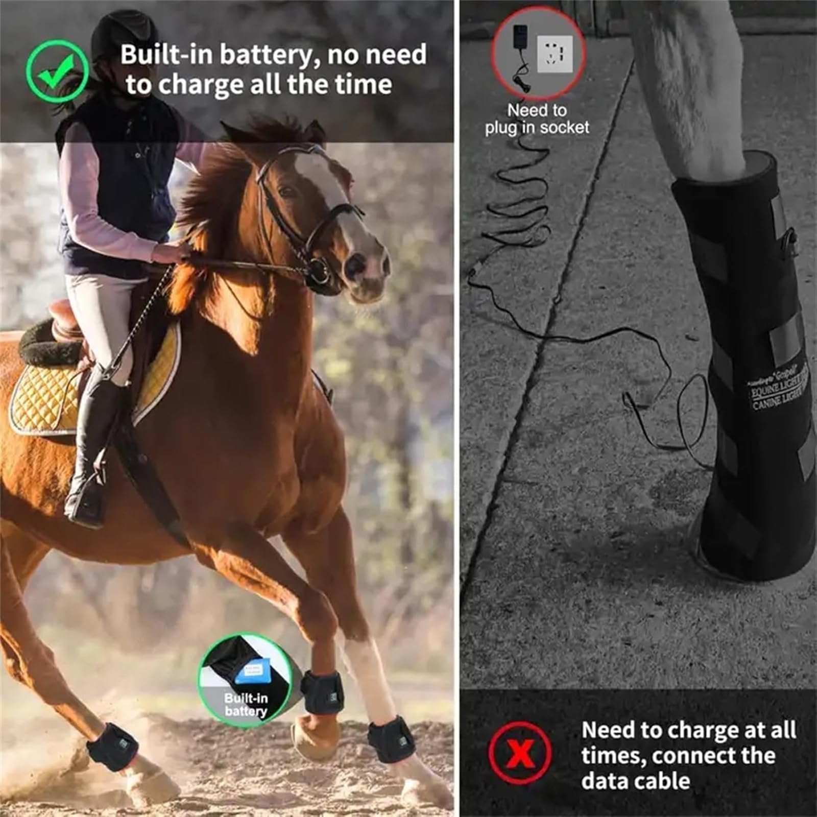 Dispositivo portatile luce rossa LED per terapia dello zoccolo cavallo