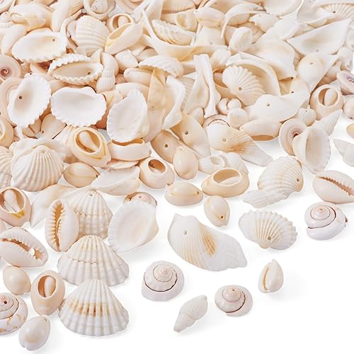 Vista 136 de Cheriswelry 50 cuentas de concha galvanizadas, conchas de cauri en espiral, conchas de mar, verano, playa, cuentas espaciadoras sueltas