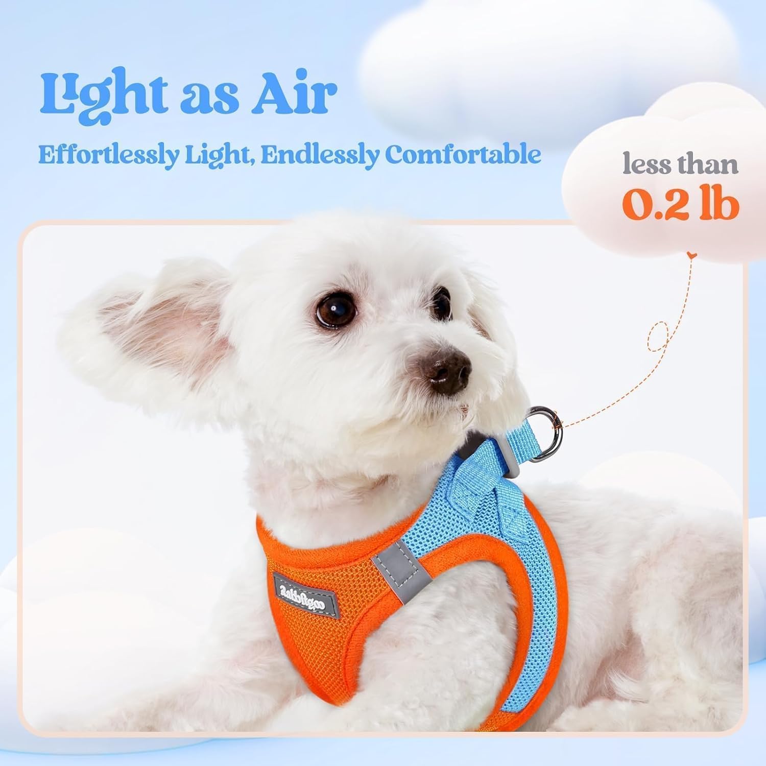 rabbitgoo Dog Harness Small Medium Sized and Leash Set, Step in Soft Light Puppy Vest, Breathable Mesh Pet Harness, Reflective for Safe Easy Walking, Blue & Orange L