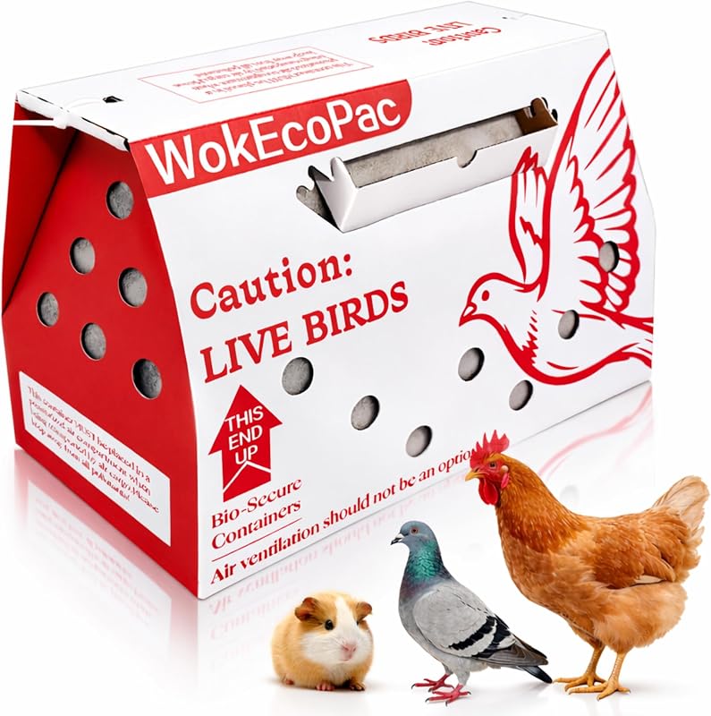12 Pack Live Bird Shipping Boxes for Poultry Chicken Bird Duck (Red) | Size 17.7" x 7.8" x 11.8"-Poultry Shipping Boxes, Poultry Carrier Crate has Ventilation Openings, Portable Bird Travel Bag