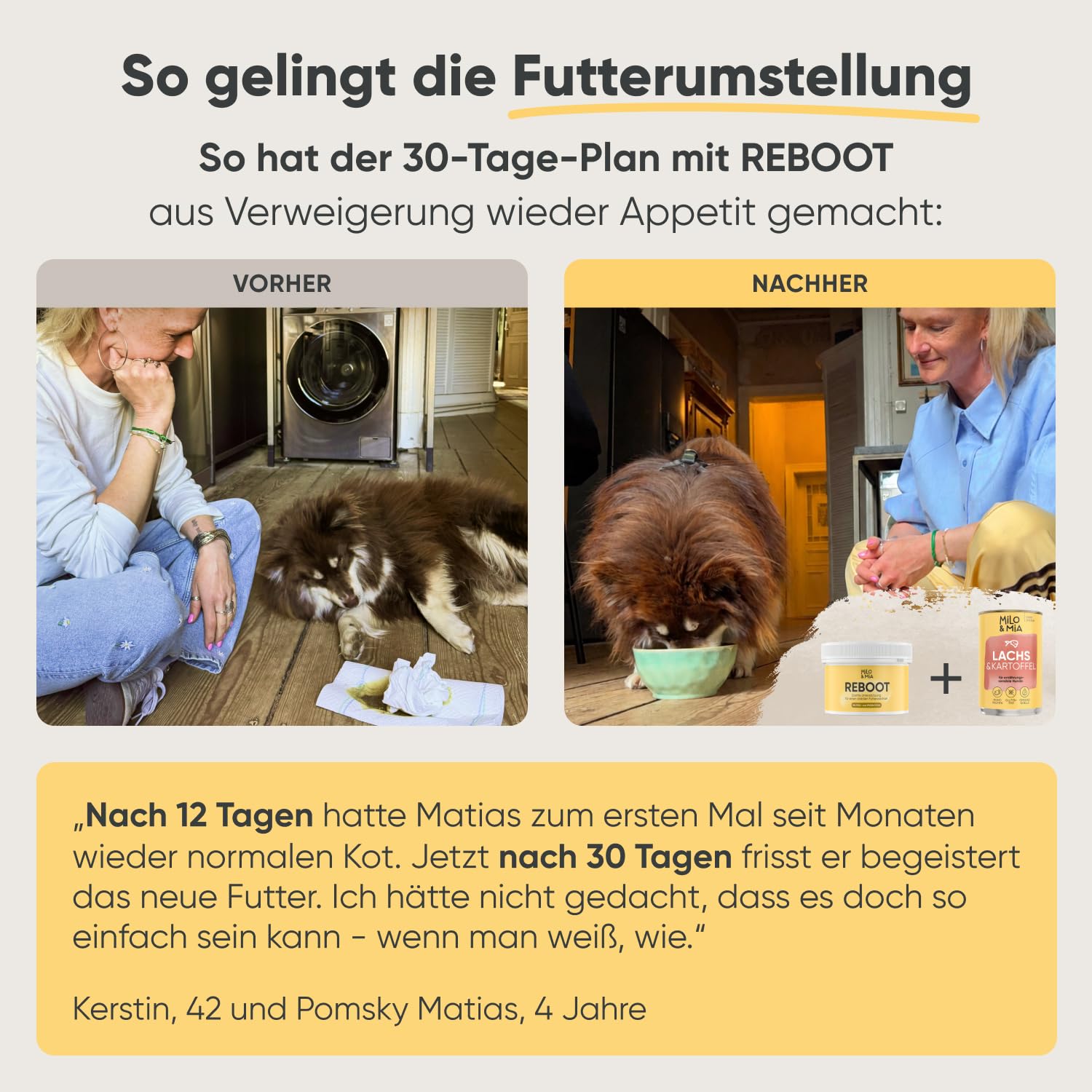 Hundefutter nass mit Lachs & Kartoffel, getreidefrei, 24 x 400 g