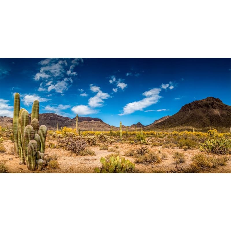 Fundo para Aquário e Terrário Céu Azul com Cactos em Vinil AWERT 91,44 x 50,8 cm