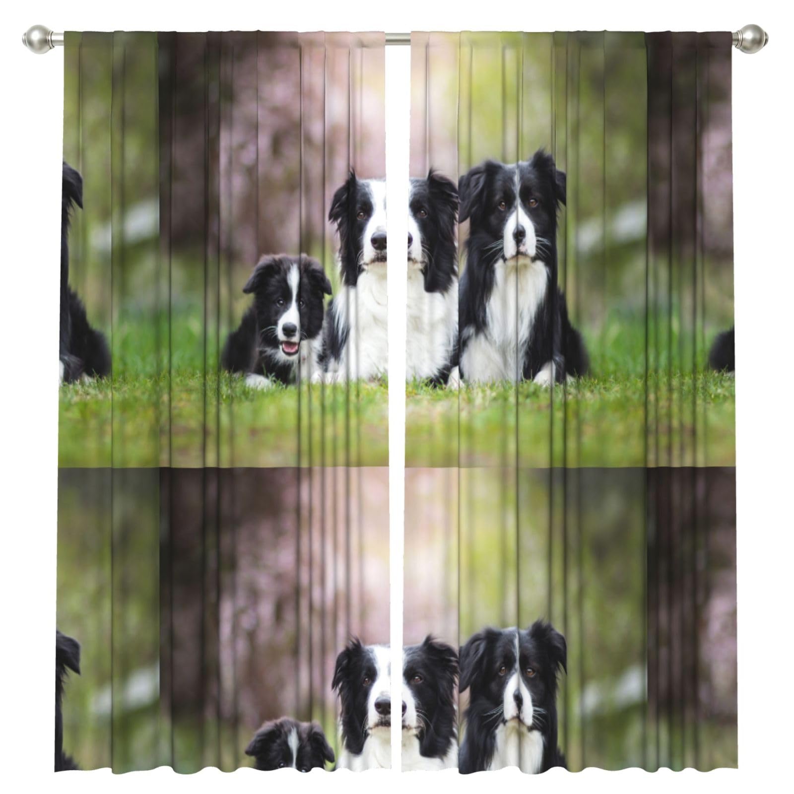 InOmak Border Collie Family, 2 Panels Window Curtains 52 x 84 Inch Blackout Curtains for Living Room Bedroom