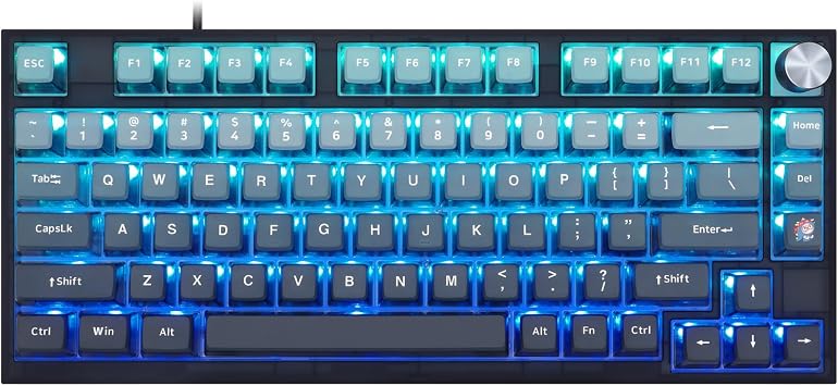 MOLGRIA SKYLOONG GK75 Blue Backlit Gaming Keyboard with Side Transparent Pudding Keycaps, Hot Swappable Yellow Mechinery Switches, Type C Wired Knob Mechanical Keyboard for Win/Mac OS