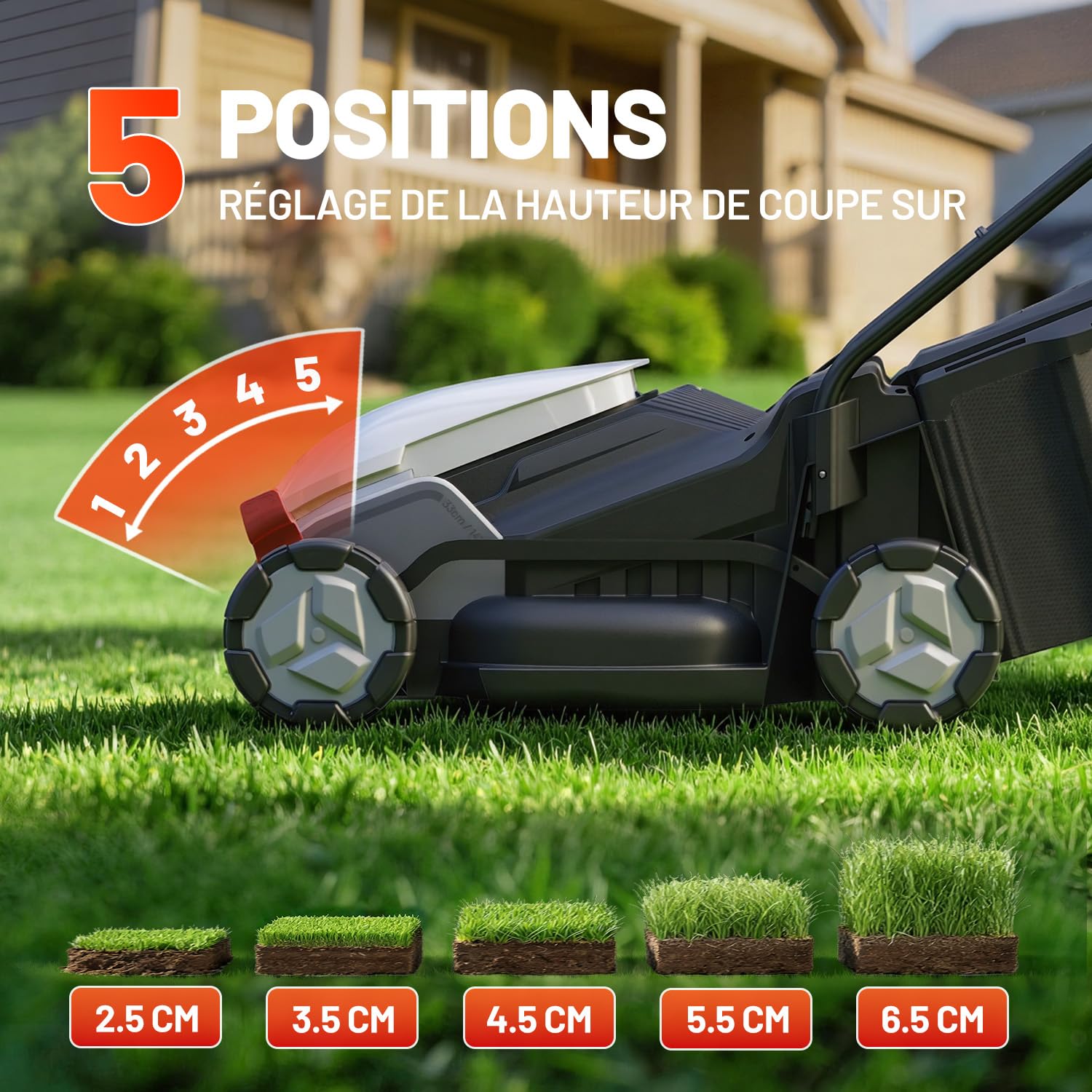 Litheli Tondeuse à Gazon sans Fil 20V 33 cm 5,0Ah Moteur Brushless Hauteur de Coupe Réglable 25–65 mm Bac 35 L