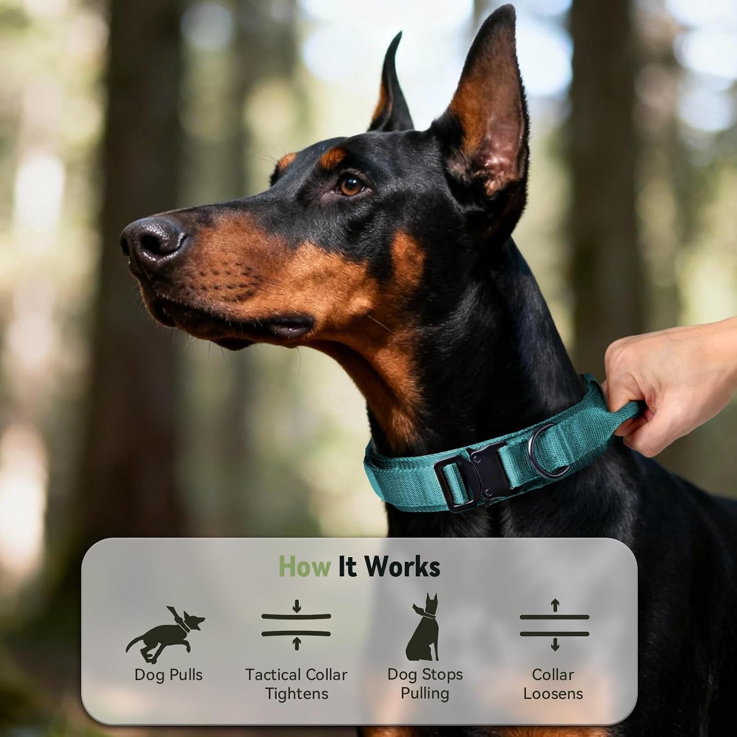 Tactical Dog Collar with Handle, Comfortable & Durable, Blue M | 1000D Nylon, Heavy Duty Quick Release Metal Buckle, Adjustable 15-24.8in for Medium and Large Dogs