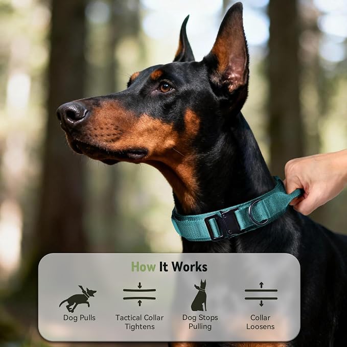 Correa Táctica para Perro con Asa, Ajustable, Nylon Militar, Cómoda y Duradera, Correas Pesadas con Cierre Rápido de Metal, Tamaño L miniatura 4
