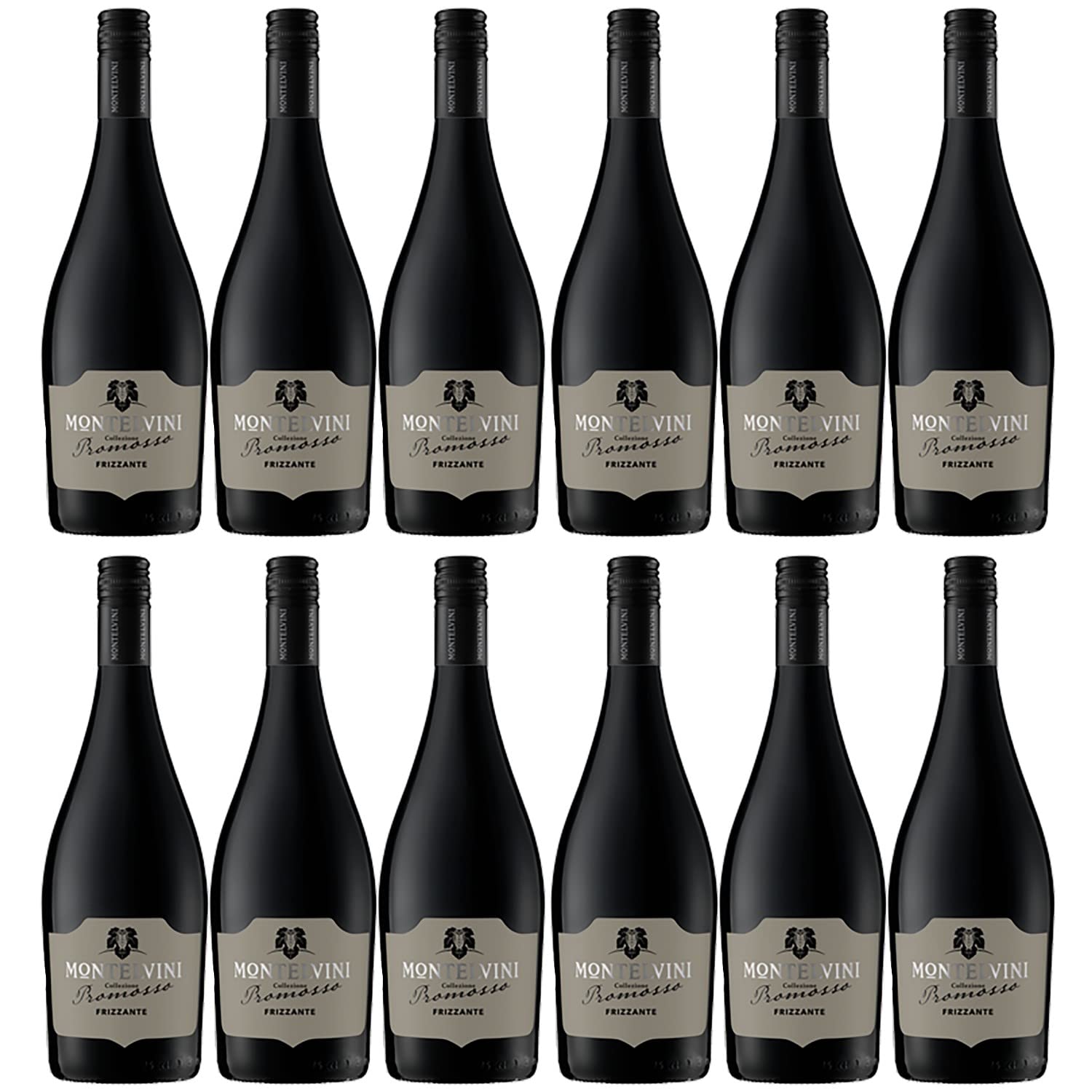Montelvini Promosso Vino Frizzante Schaumwein Sekt Italien Inkl. FeinWert E-Book (12 x 0,75l)