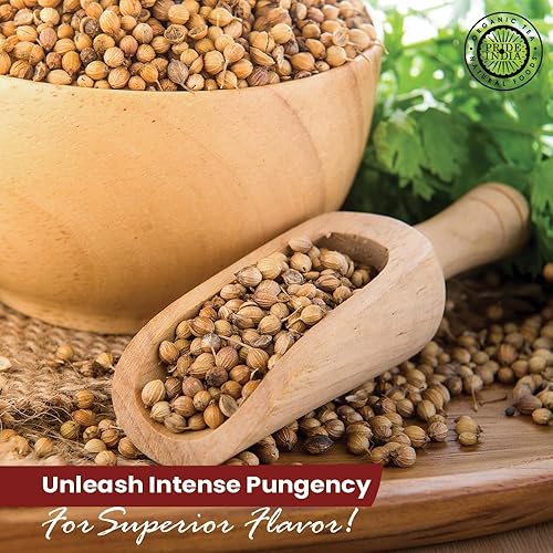 Vista 87 de Pride of India - Tarros pequeños para especias