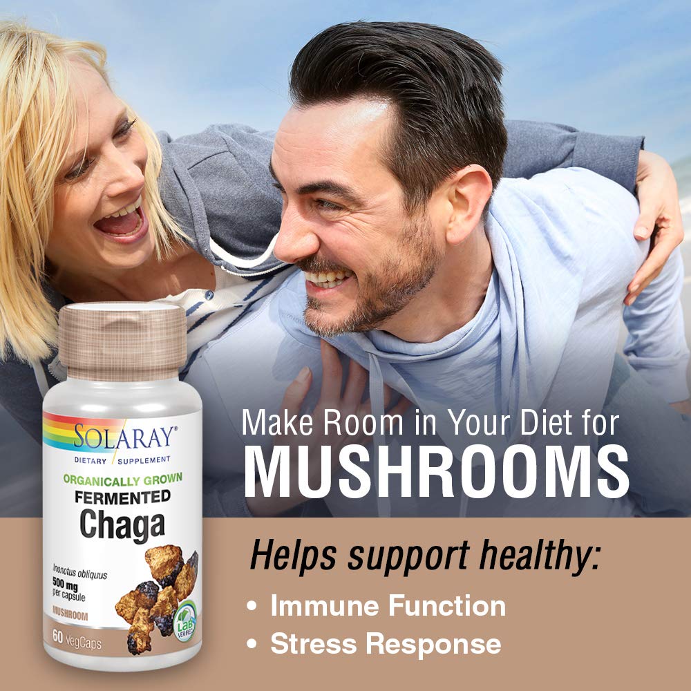 Complément Alimentaire Vitaler's Chaga 500mg - 60 Gélules, Soutien Mémoire & Système Nerveux