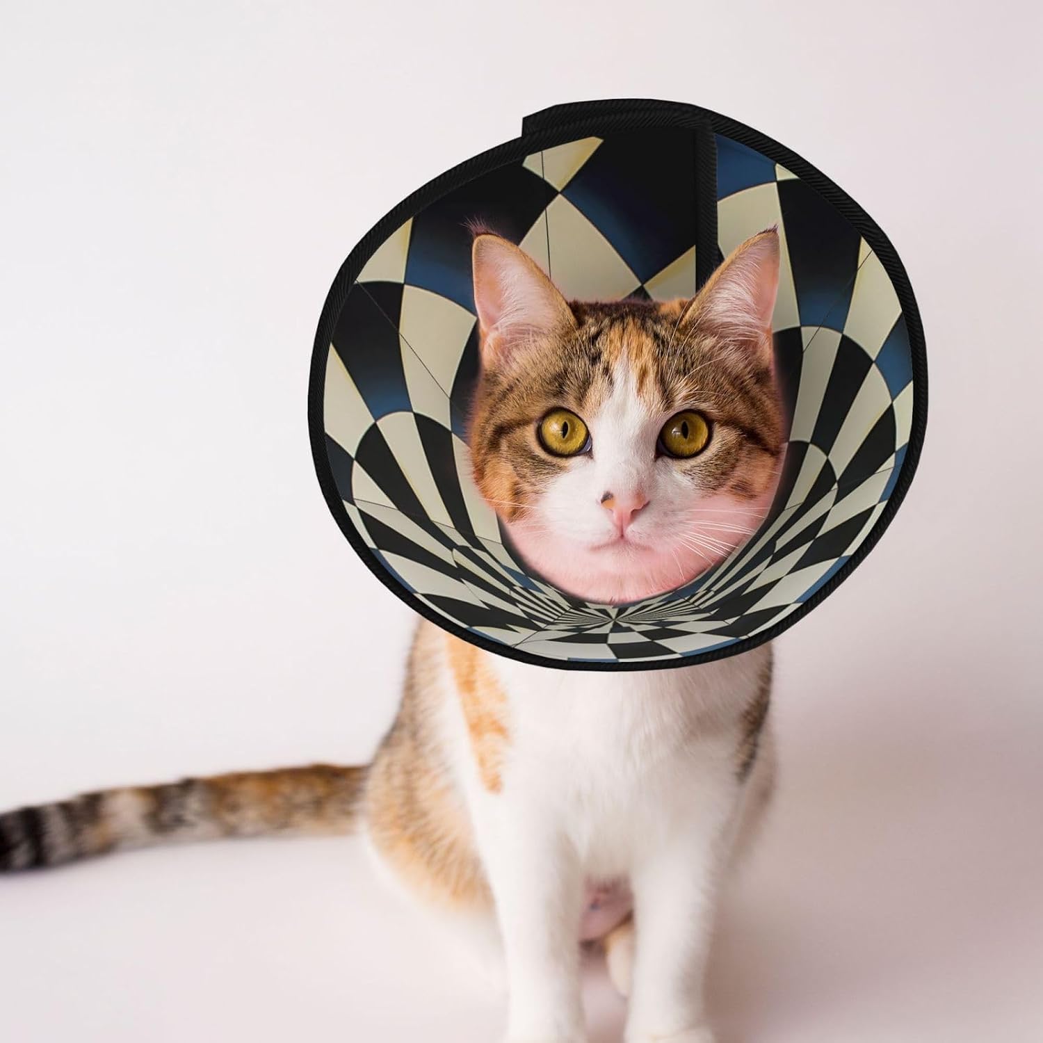 Custom Pet Cones - Unique Design Cat & Dog Cone, Collar for Post-Surgery Recovery, Adjustable Neck Perspective Medium