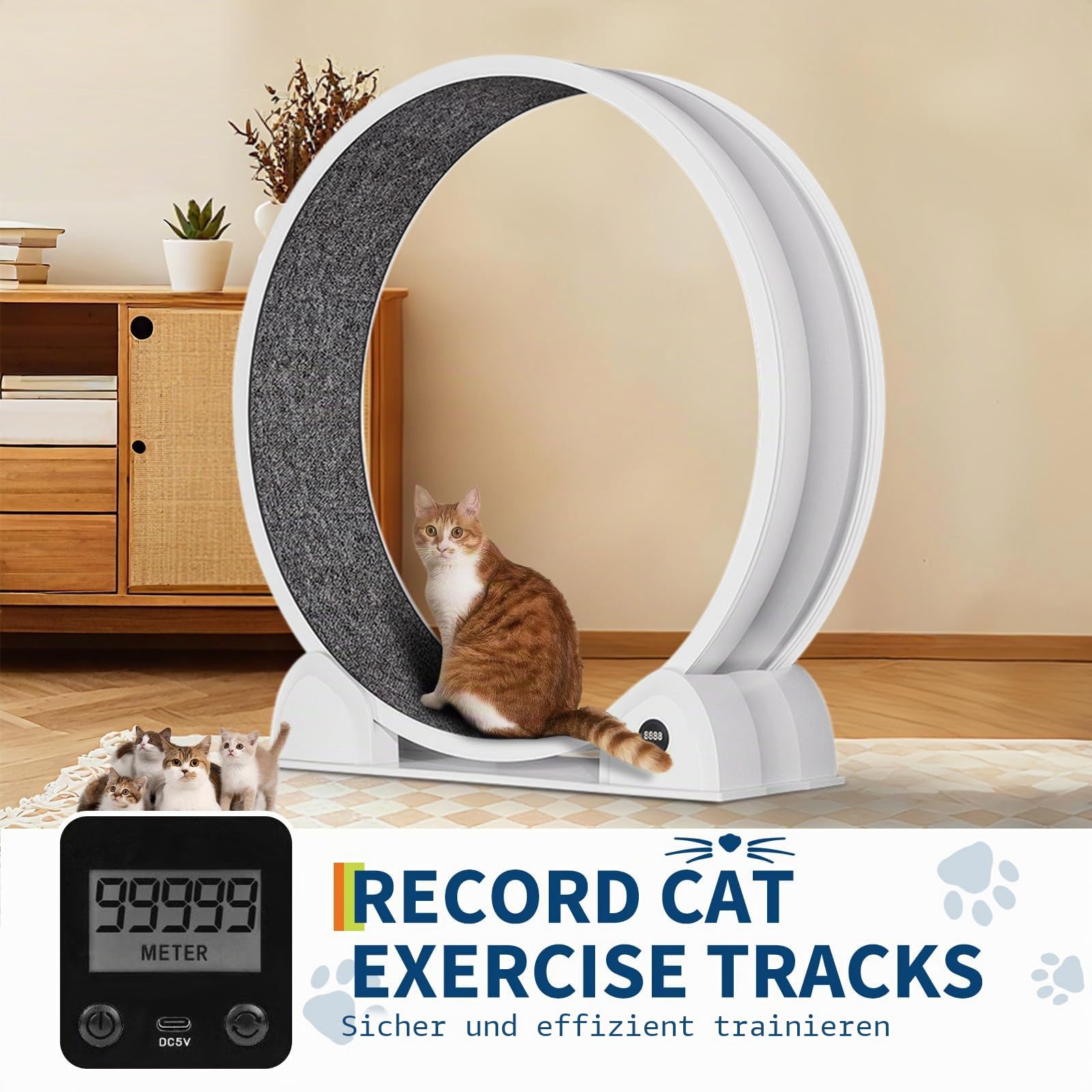 GarveeHome XL Katzenlaufrad 103cm mit Schrittzähler & Kratzbrett - Super Leises Laufrad für Große Katzen bis 12kg, Abnehmbarer Teppich, Ideal für Gewichtsreduktion und Gesundheit - A