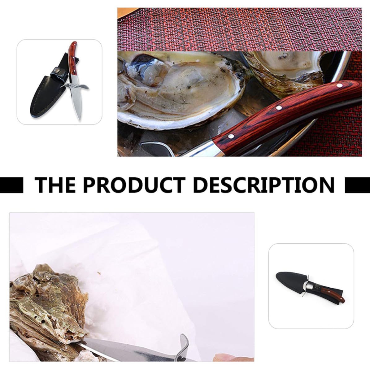 Cuchillo con Mango de Madera Marrón Ergonómico de Acero Inoxidable para Abrir Ostras y Textura Antideslizante Adecuado para Picnic y Fiestas Privadas
