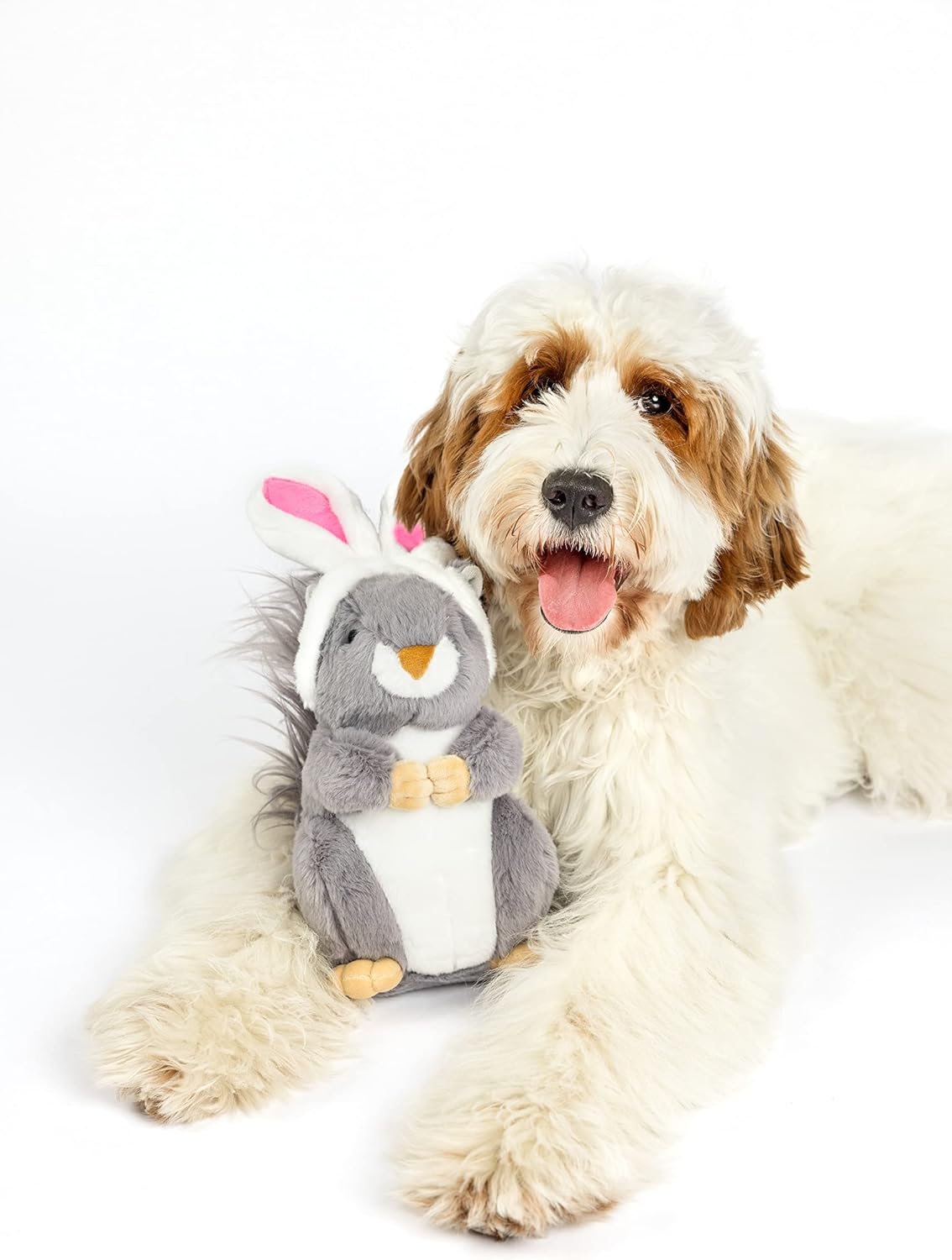 Midlee Easter Squirrel Bunny Plush Large Dog Toy