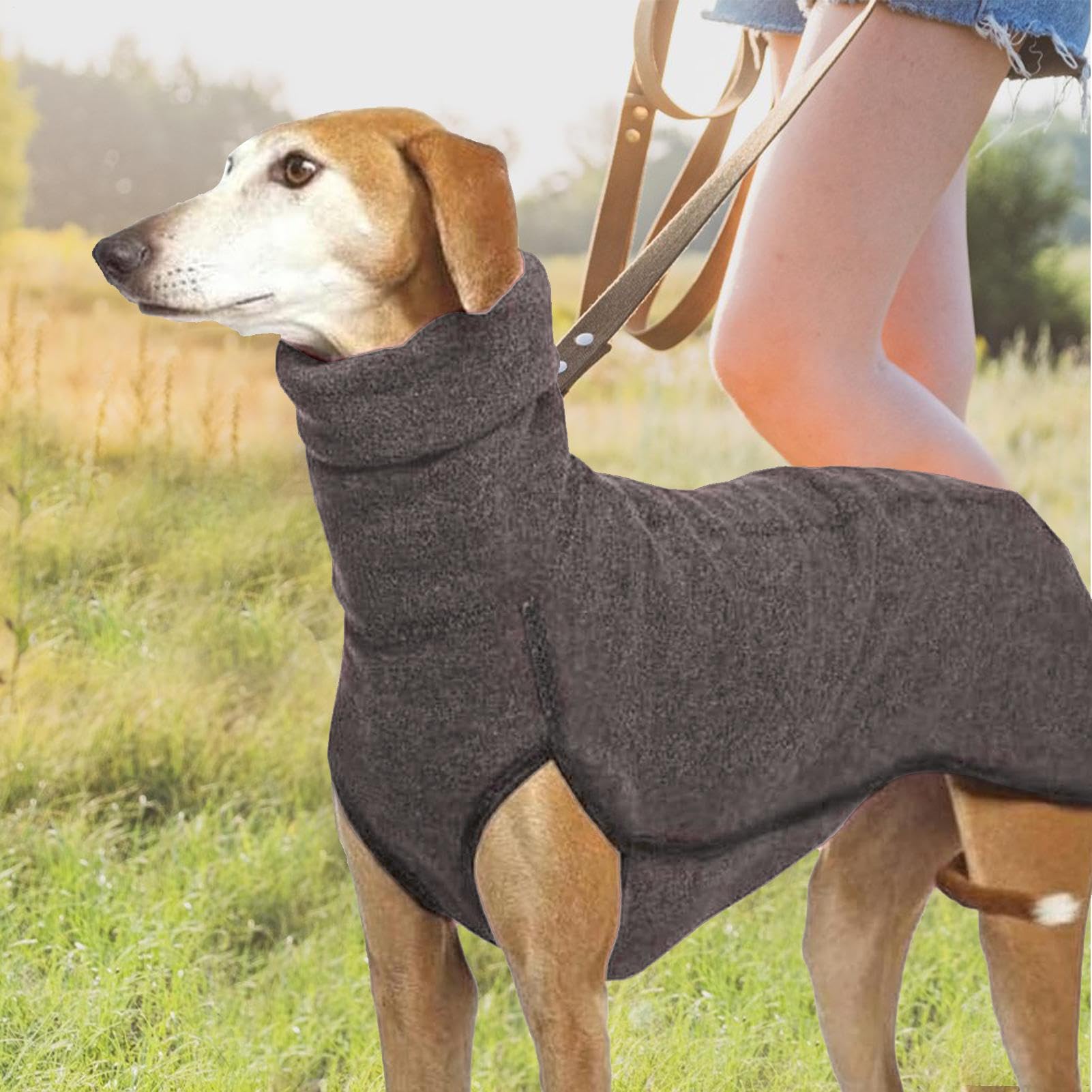 View 6