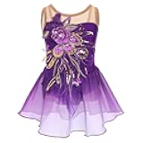 Ice Figure Skating Dress for Girls Sparkly Sequins Sheer Mesh Chiffon Ballet Dance Leotard Dress Ballerina Outfits