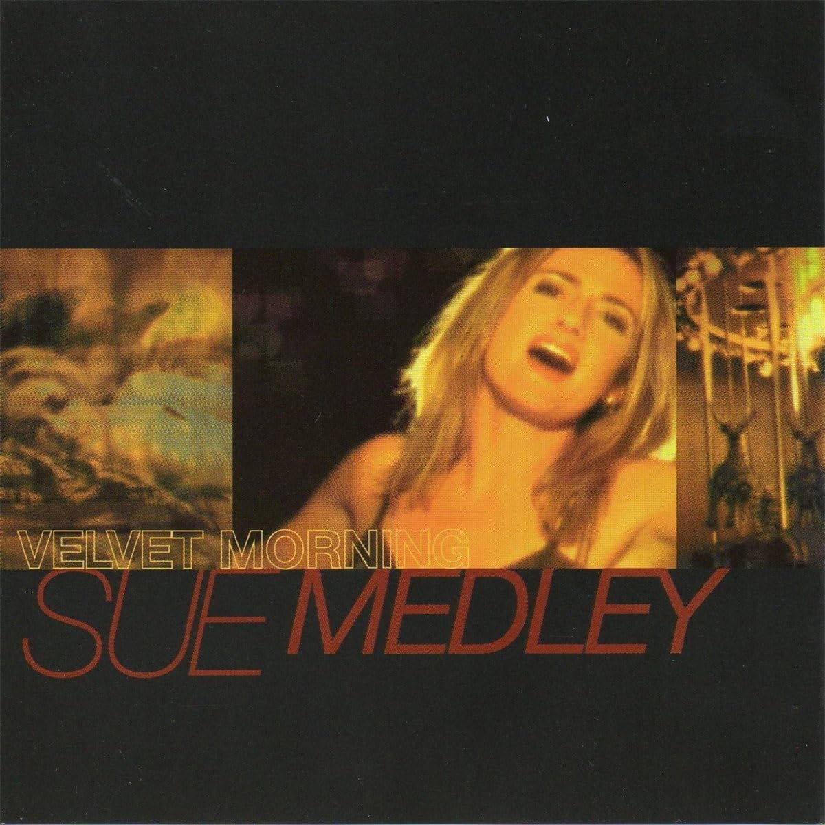 Velvet Morning [Audio CD]