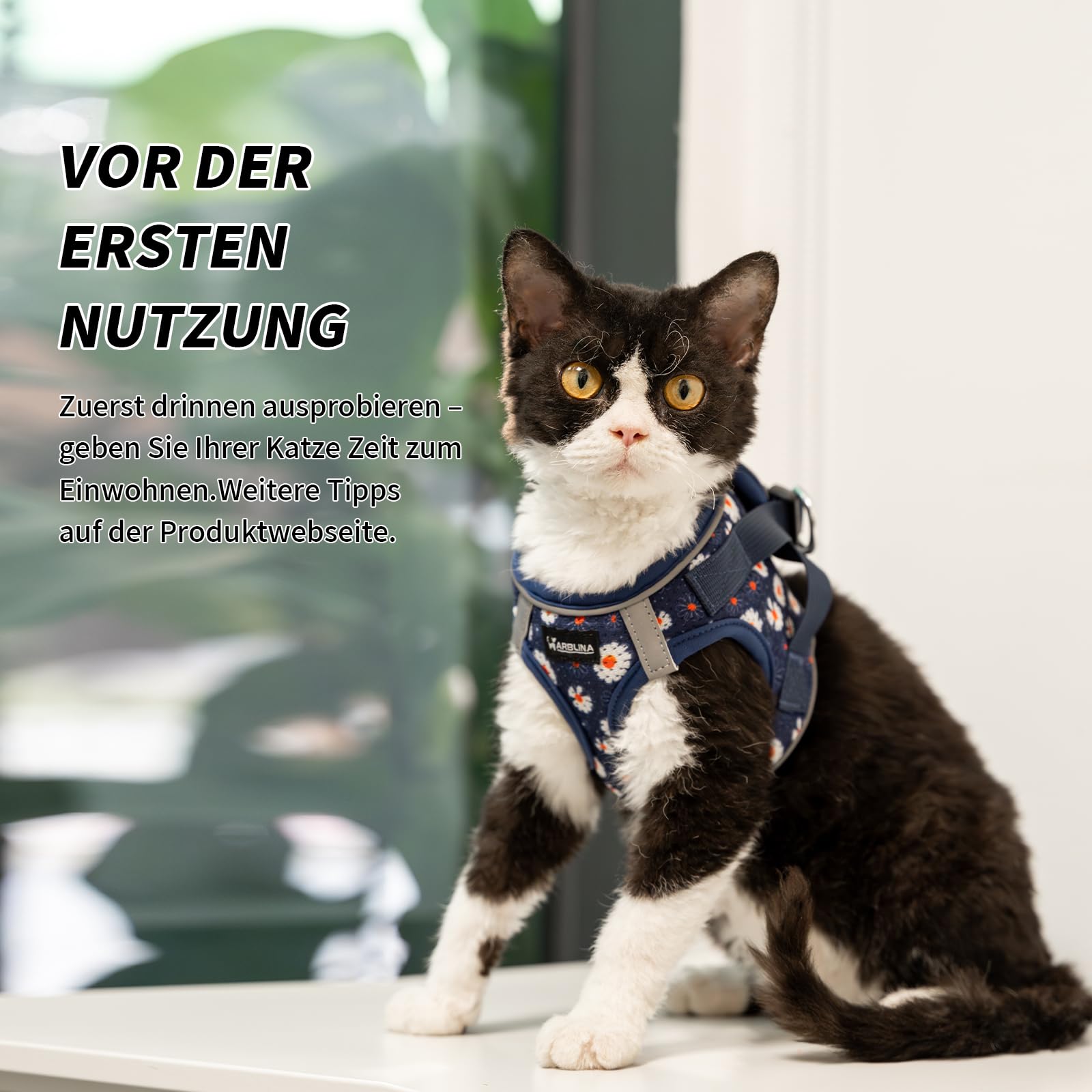 Arblina Katzengeschirr, Weich & Atmungsaktives Katzengeschirr-Set mit Reflex, Leichtes Katzengeschirr Ausbruchsicher mit 1,5m KatzenLeine, Blau S