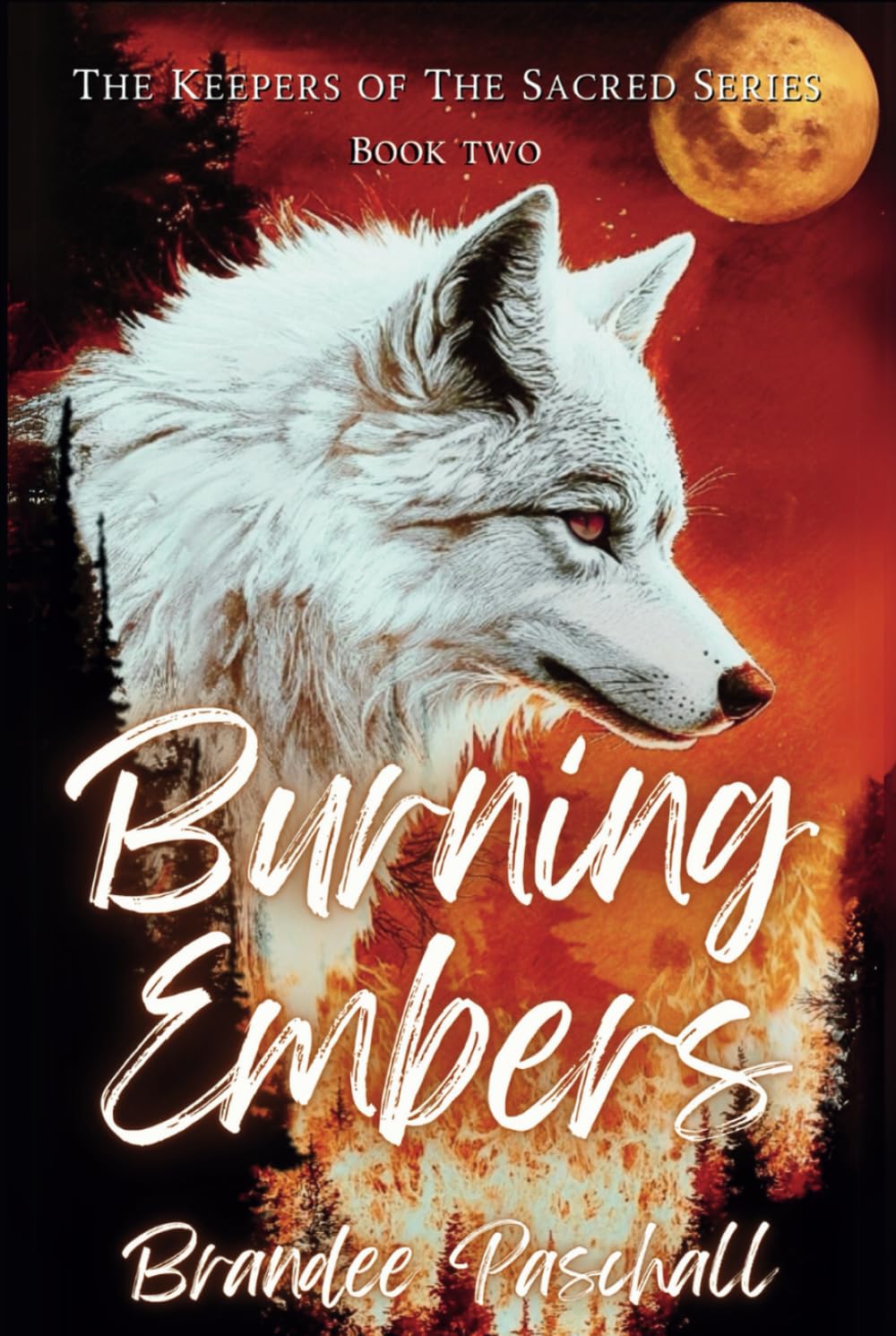 Burning Embers: The Keepers of The Sacred Series: Book Two
