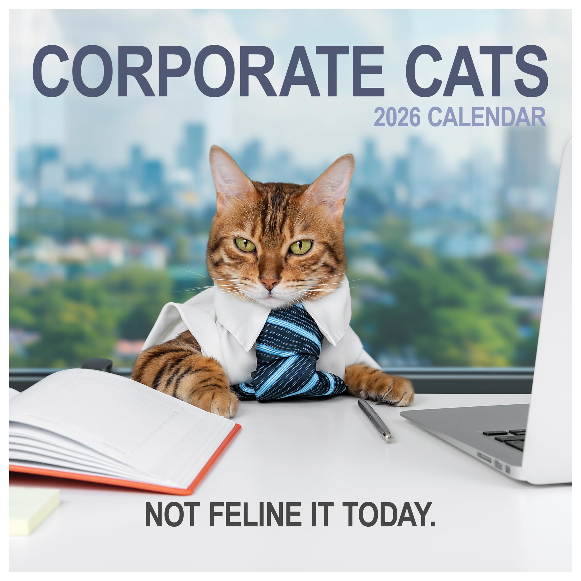 TF Publishing 2026 Corporate Cats Wall Calendar - Large Grids for Appointments and Scheduling - Vertical Monthly Wall Calendar 2026 with Premium Gloss Paper for Home and Office Organization - 12x12in — image 1