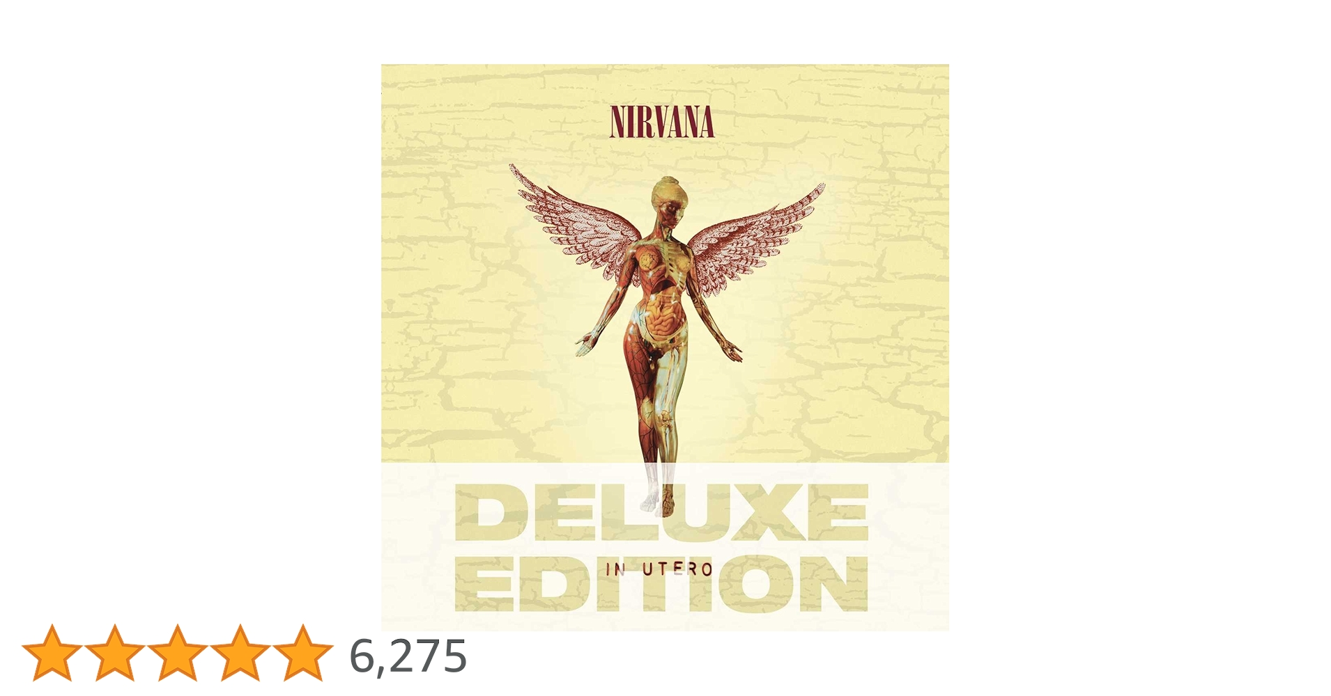 71e9l-2lfKL.jpg_BO30,255,255,