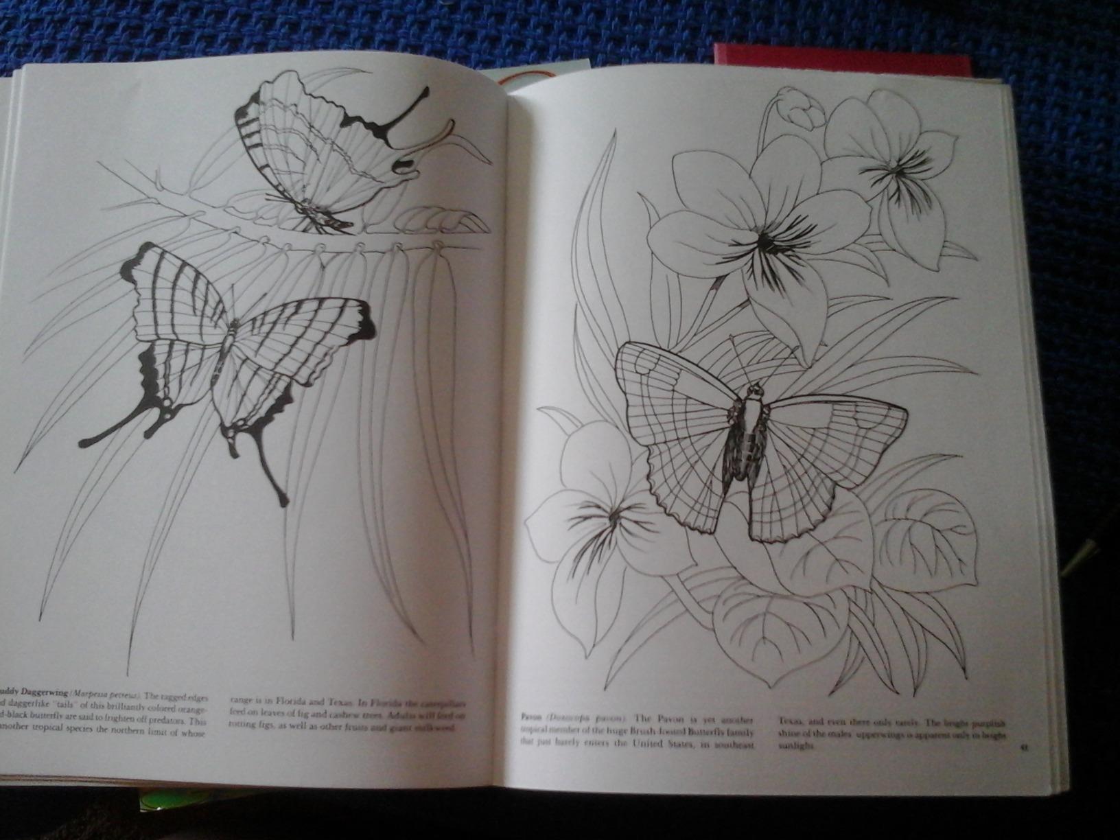 "NICE BOOK FOR THE $$$"