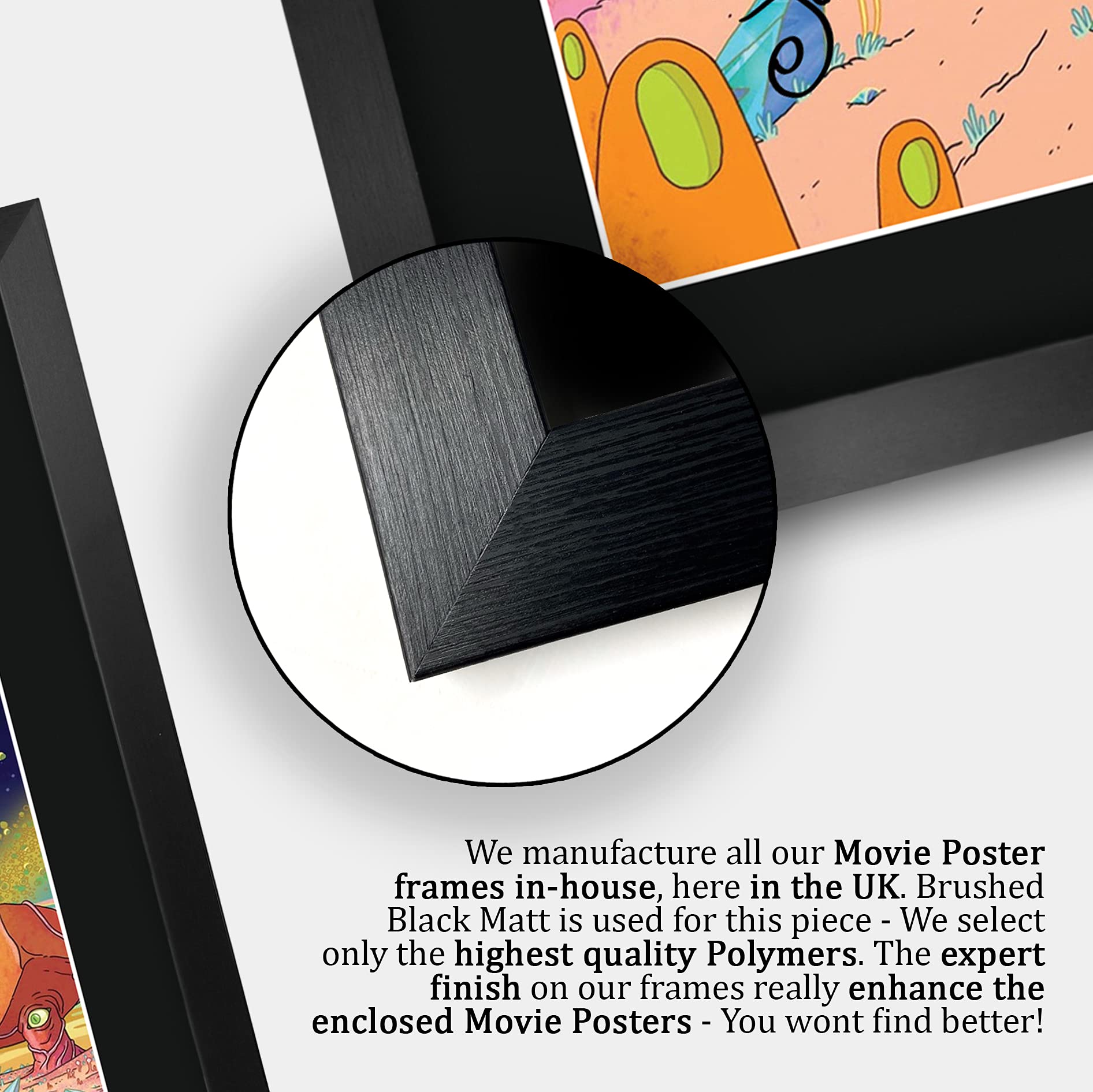 Justin Roiland Rick And Morty Signiertes Fan Display - Gerahmtes A4 Sammlerstück