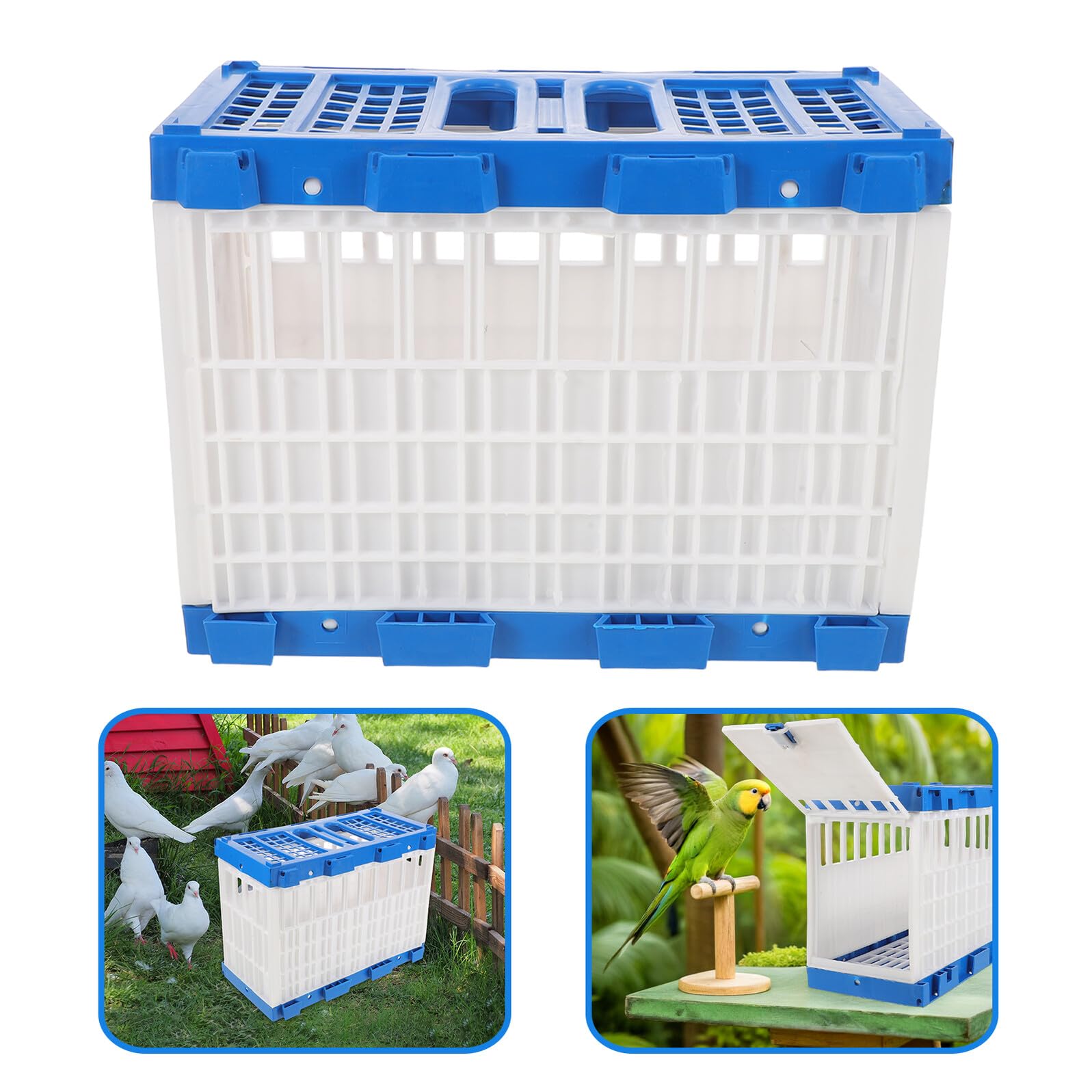 Abaodam Jaula Portátil para Palomas de Carreras Puerta Lateral Abatible Cesta de Plástico Ligera 32X165X245 CM para Entrenamiento Transporte y Liberación Segura Exteriores