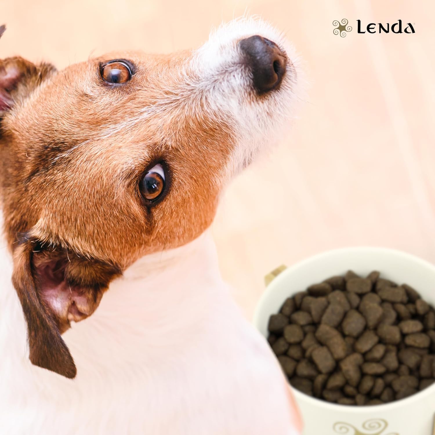 Lenda Chicken 20 kg - Crocchette per Cani Giovani e Adulti con Condroprotettori Probiotici e Olio di Calmone - Alimento per Cani Grande e Piccola - Cibo per Cane di Pollo - Croccantini Cane Naturale