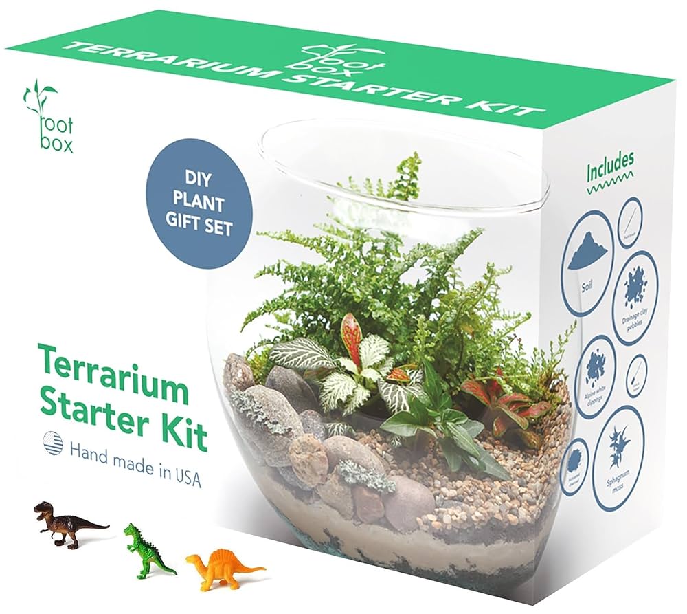 Etrarium 1st Anniversary 記念 BOX【PLANT】 CLEARANCE] Root Box™ Large Plant Terrarium Kit in scented