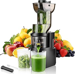 Extracteur de jus 500W,Extracteur de jus de Fruits et Légumes avec Fonction Inverse,Grande Ouverture de 98mm Slow Juicer,Taux d'extraction pouvant atteindre 98%,2 Récipients,Sans BPA