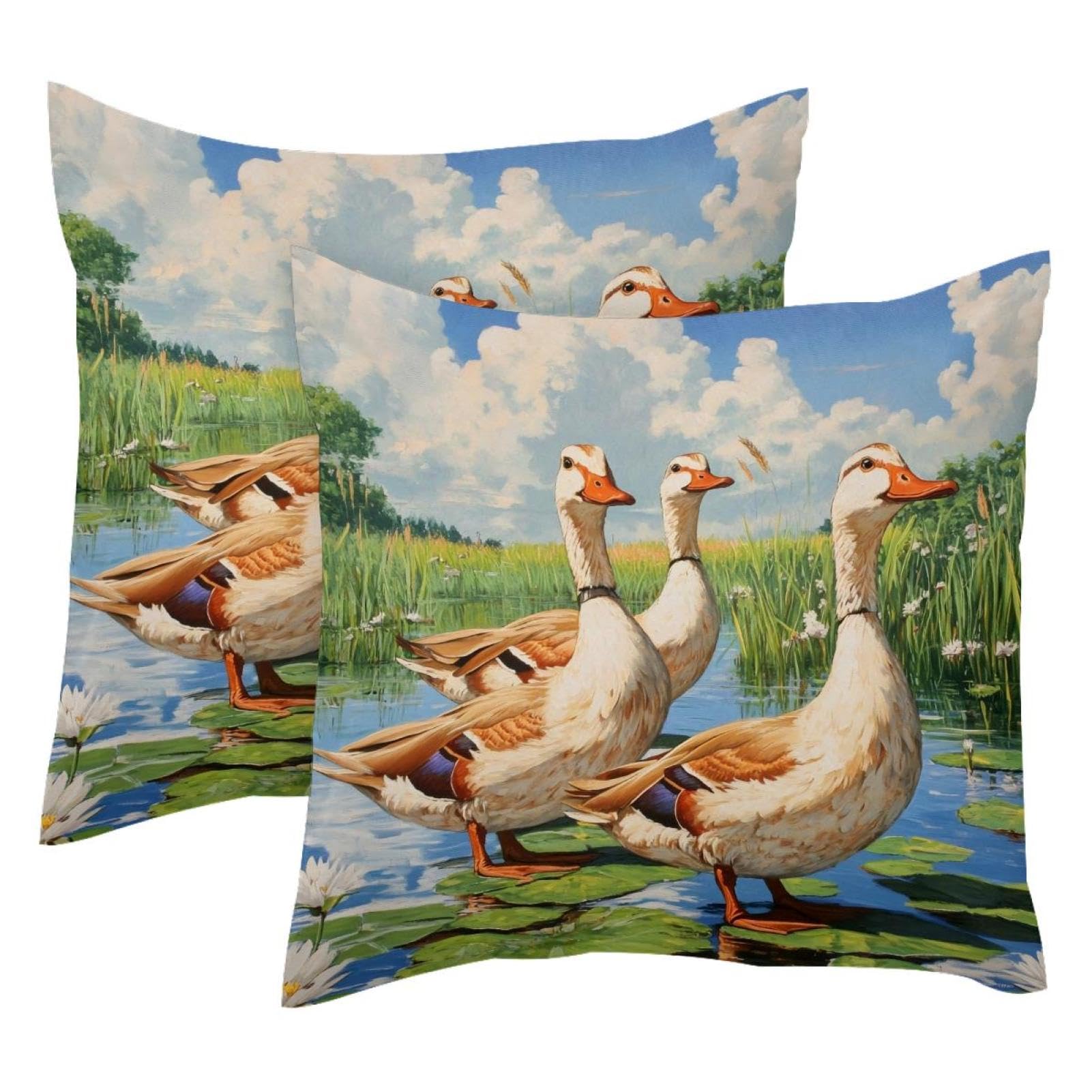Housses de coussin velours doux pour protéger et décorer vos coussins