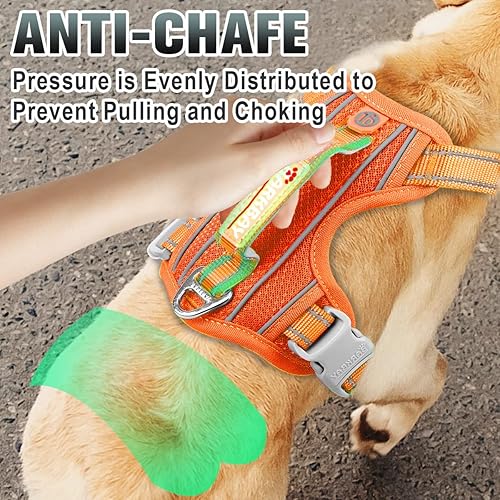 Miniatura 4 de BARKBAY - Arnés para perro sin tirones, reflectante, con clip frontal y agarradera de fácil control para entrenamiento, con bolsillo para