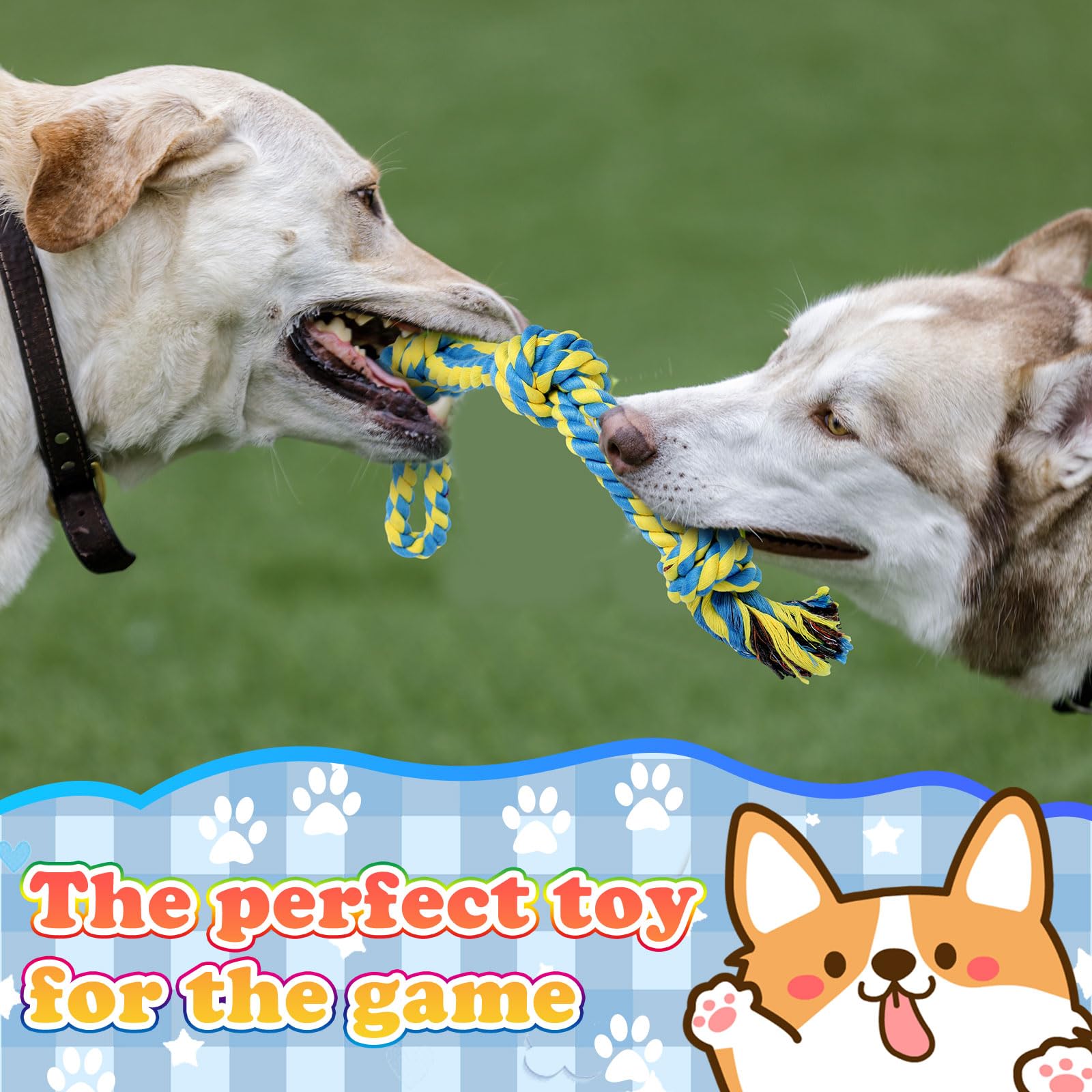 Wettarn 15 Stück Hundespielzeug für aggressive Kauer, robuste Baumwoll-Hundeseilspielzeug, Hundespielzeug, robustes Hundespielzeug für mittelgroße große Hunderassen, Welpenzahnreinigung, 5 Arten